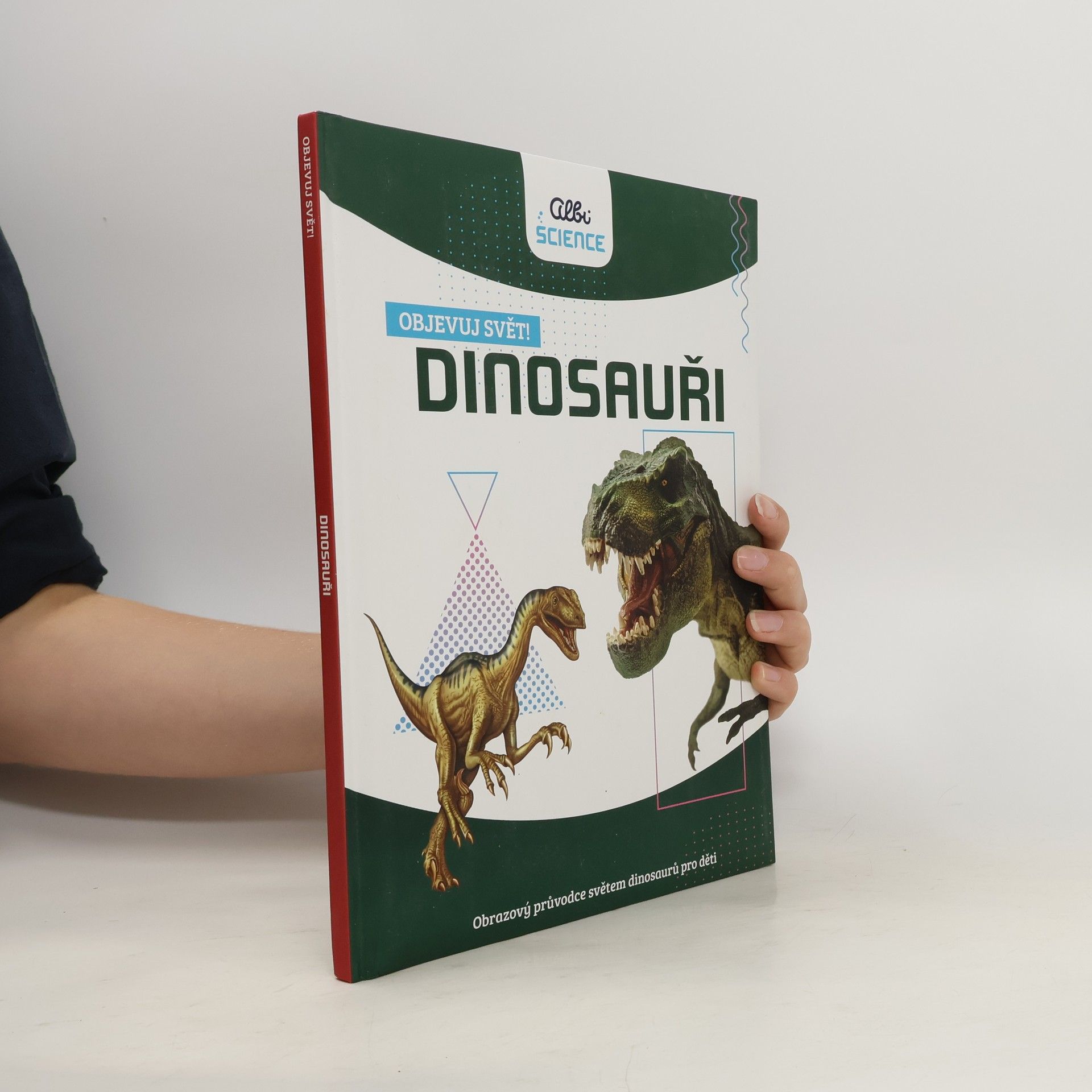 Autorenkollektiv Dinosauři
