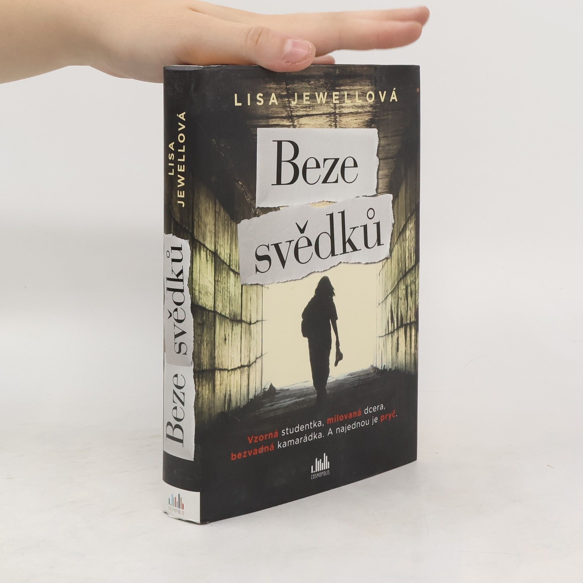 Lisa Jewell Beze svědků