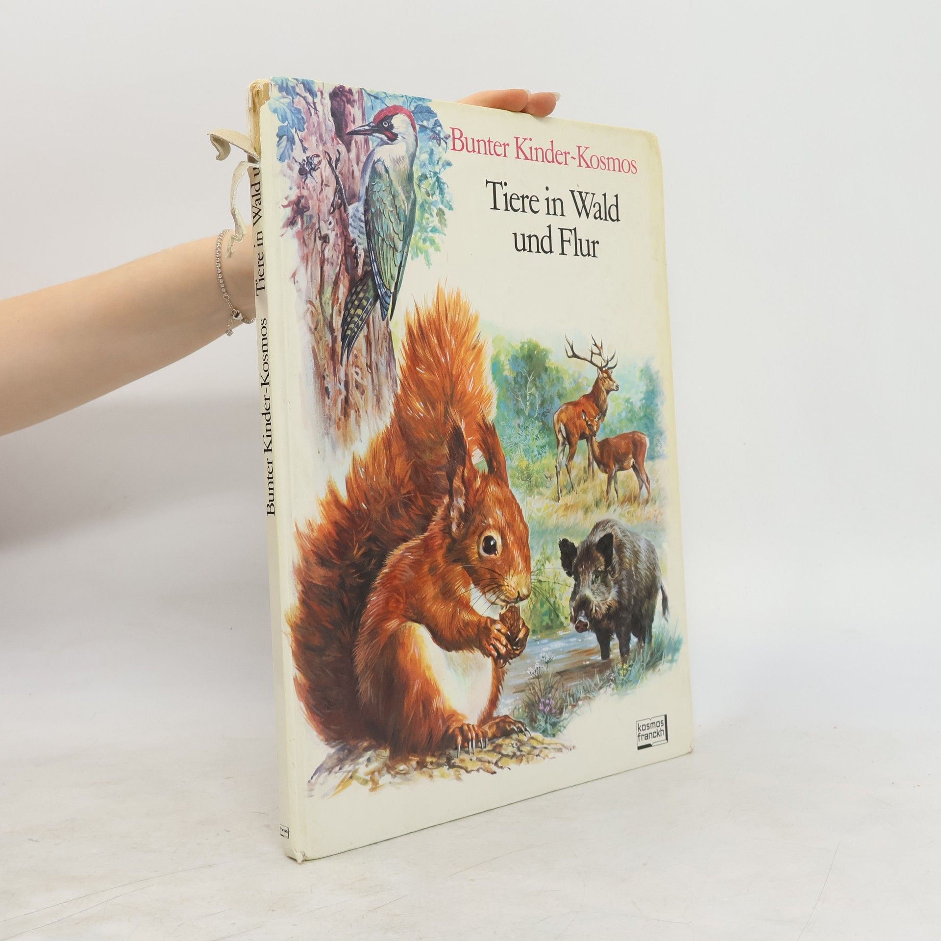 Rinaldo D. D'Ami Tiere in Wald und Flur