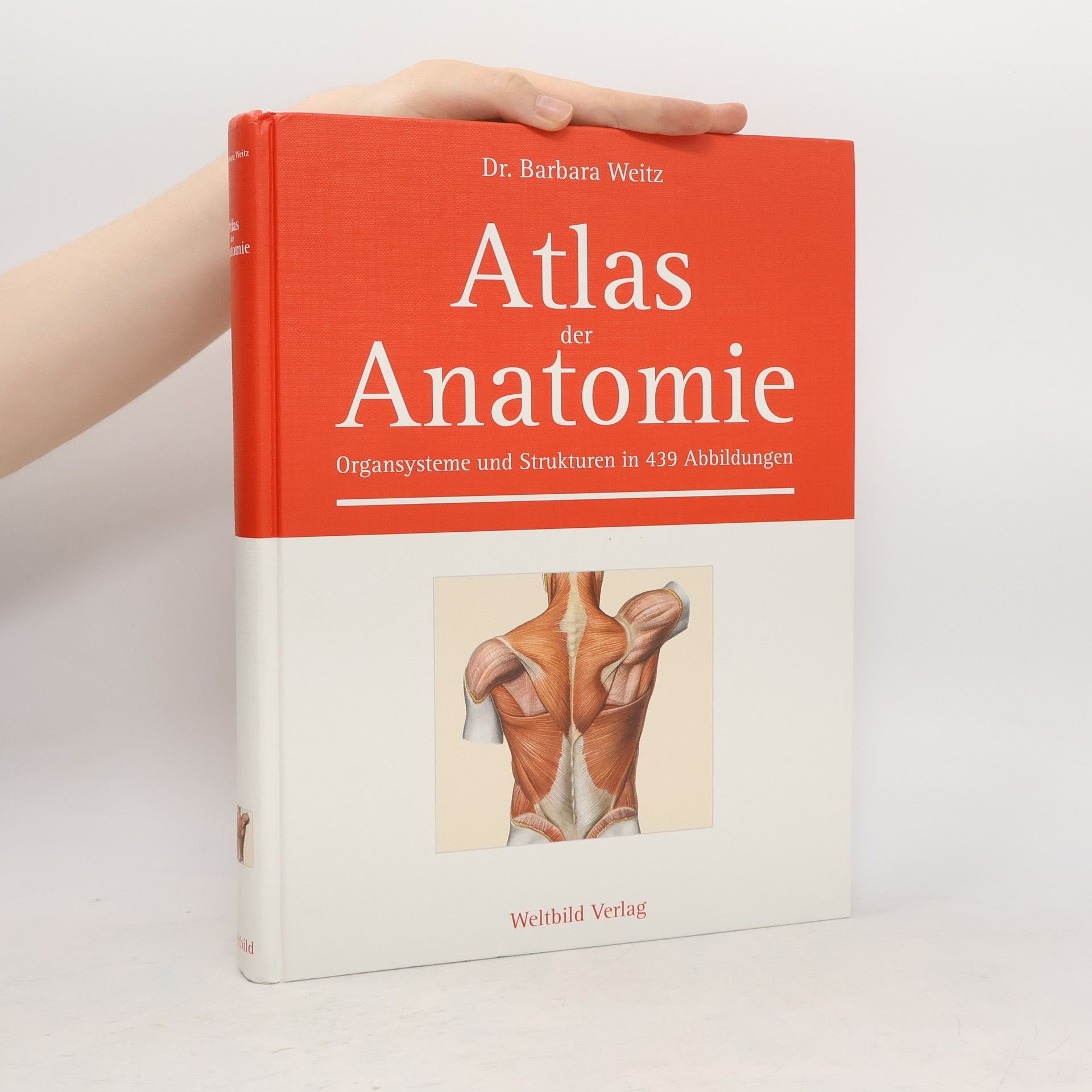 Barbara Weitz Atlas der Anatomie