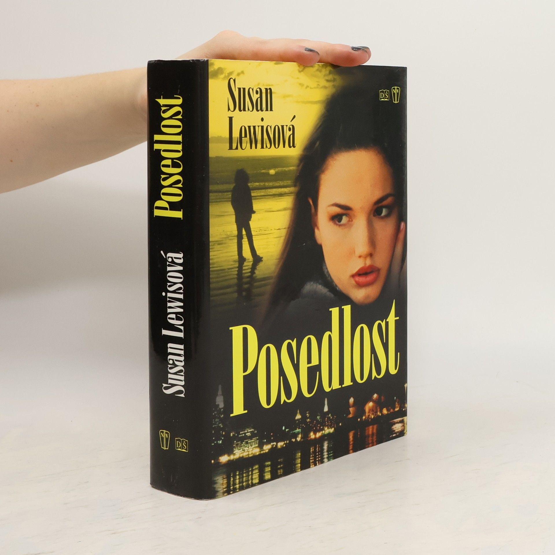 Susan Lewis Posedlost