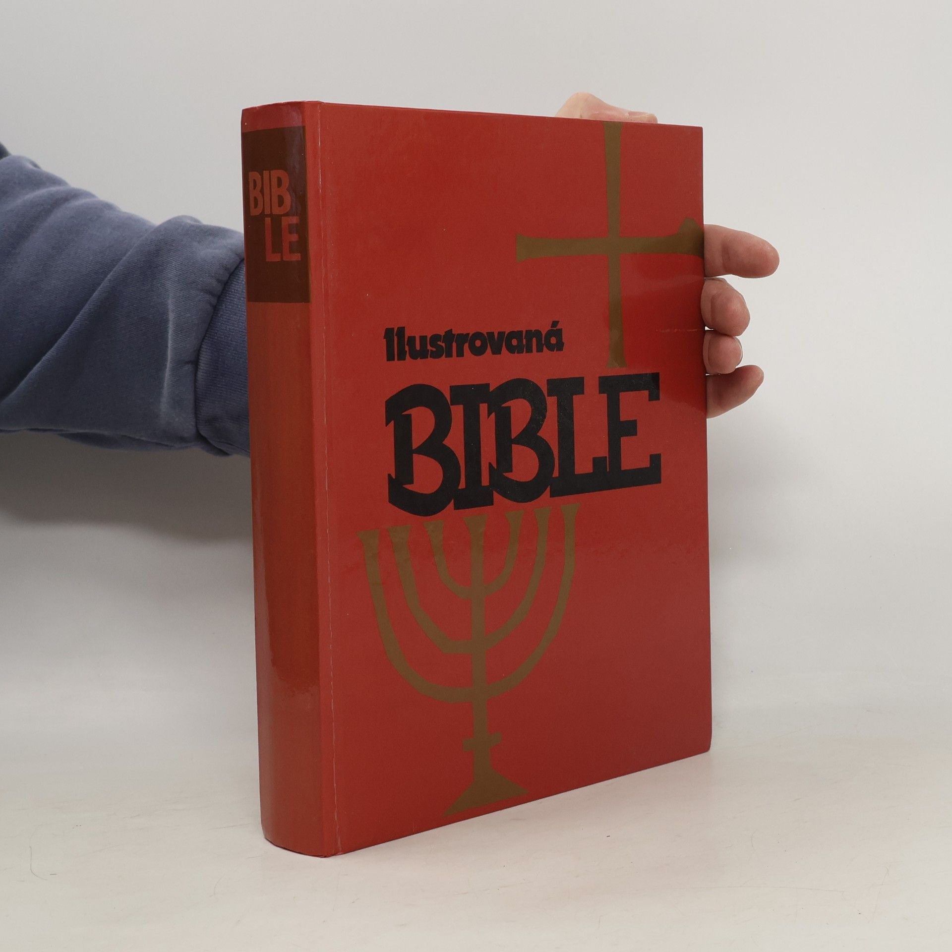 Samuel Terrien Ilustrovaná Bible pro mládež