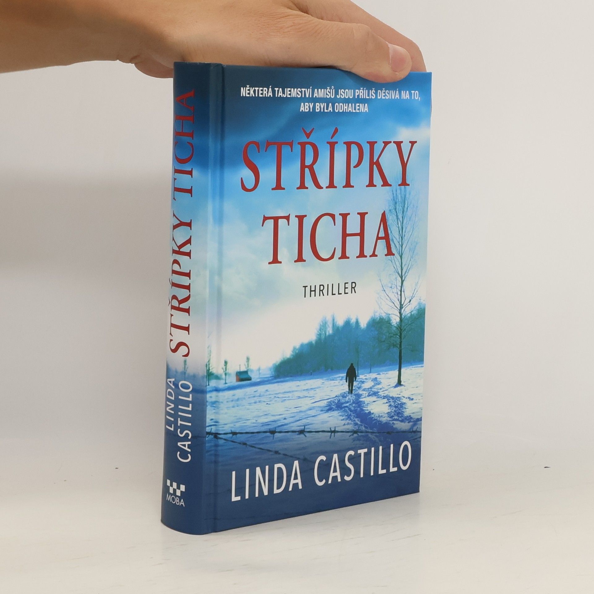 Linda Castillo Střípky ticha