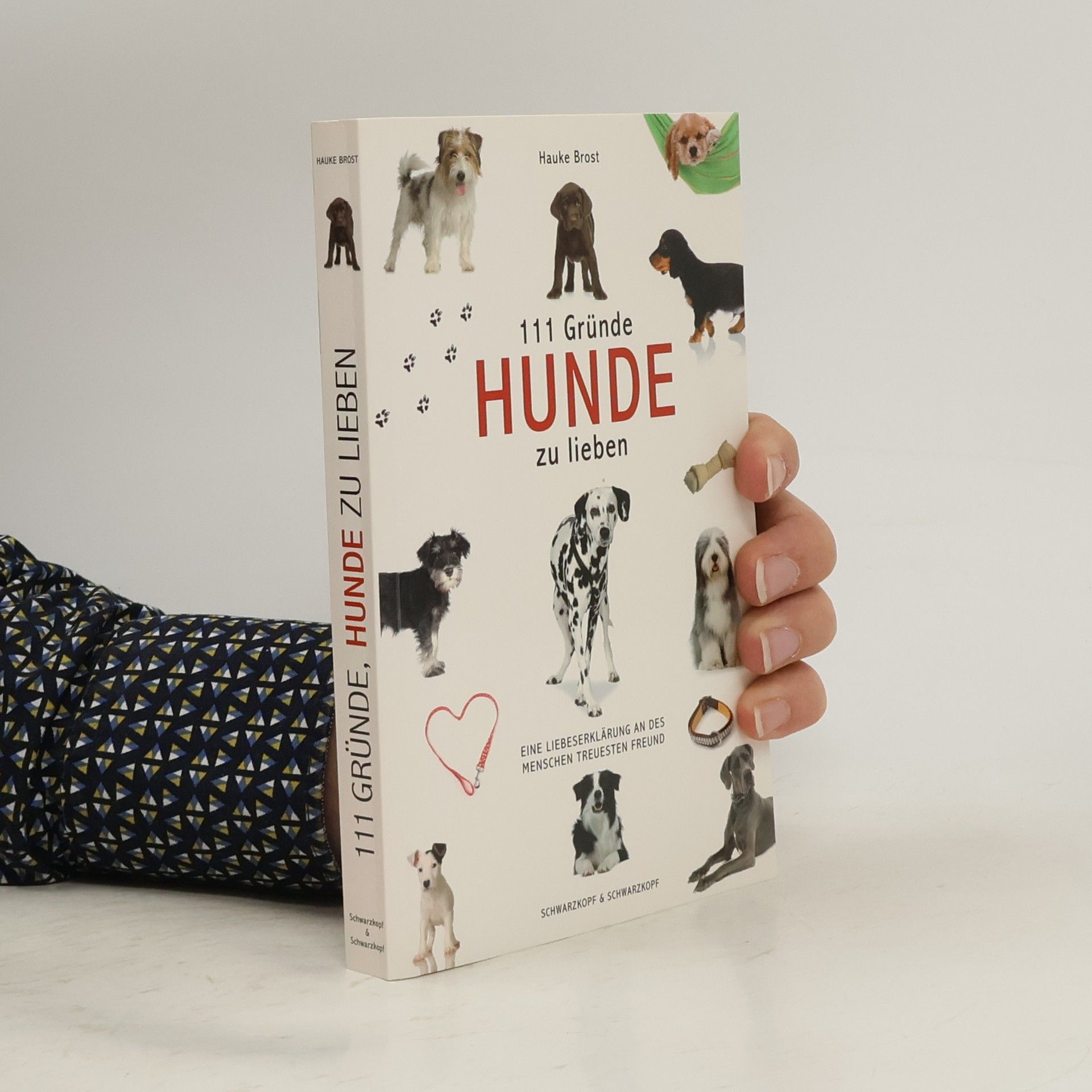 Hauke Brost 111 Gründe, Hunde zu lieben