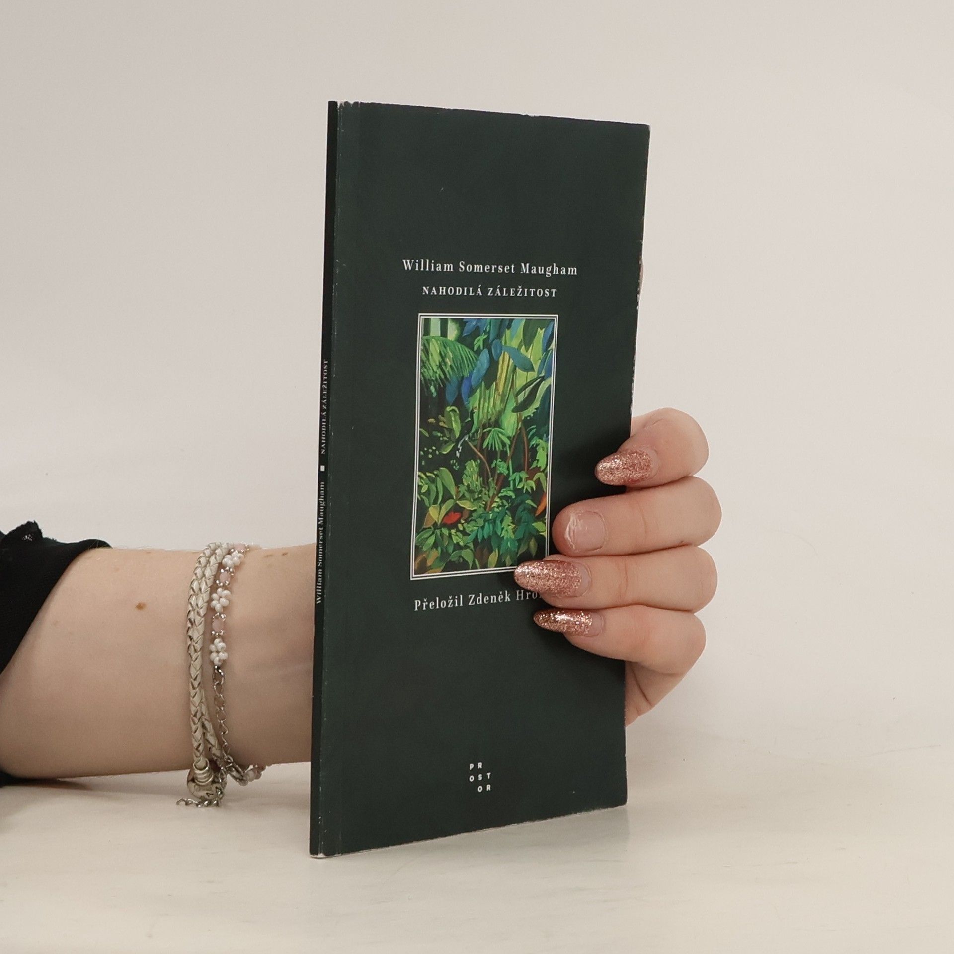 William Somerset Maugham Nahodilá záležitost