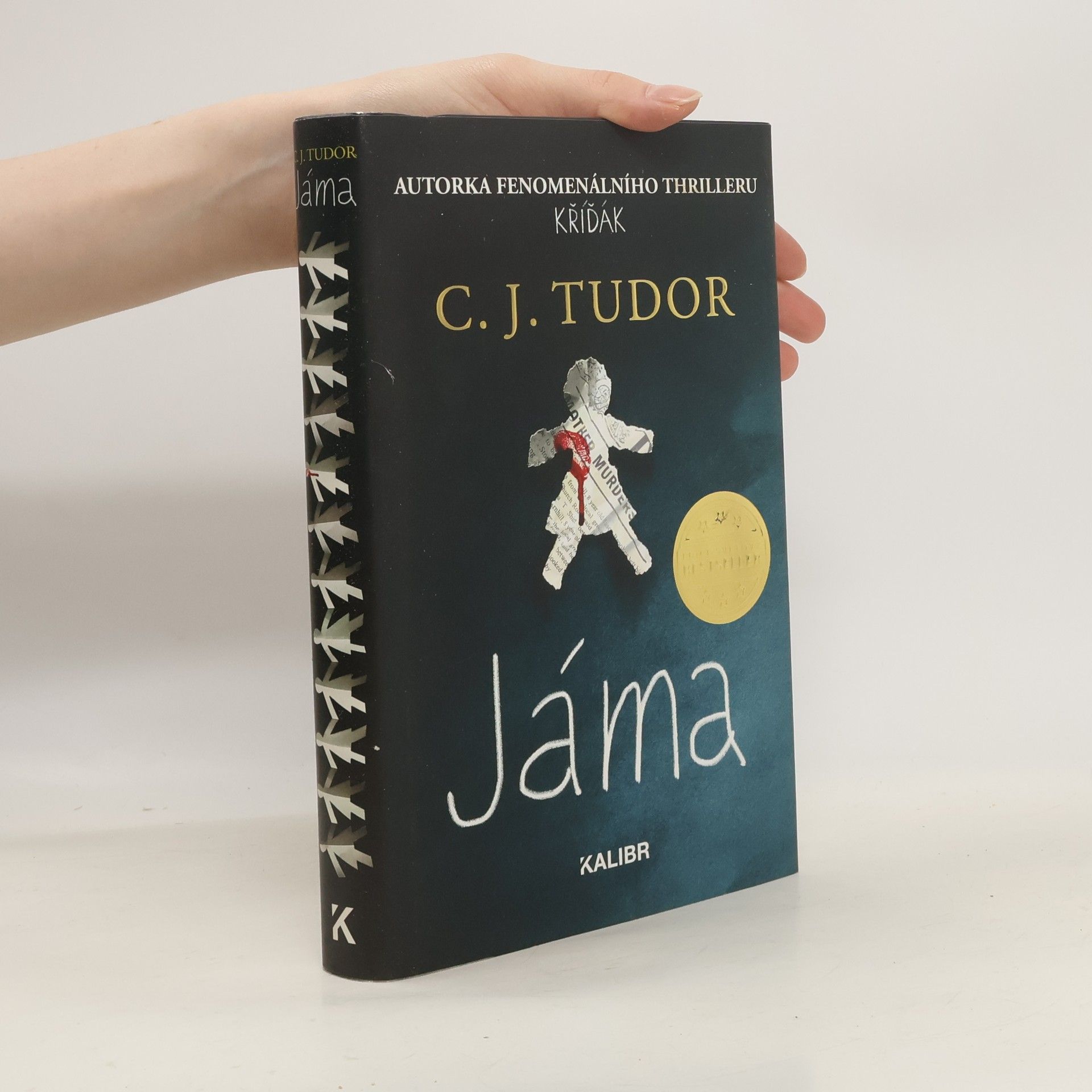 C. J. Tudor Jáma