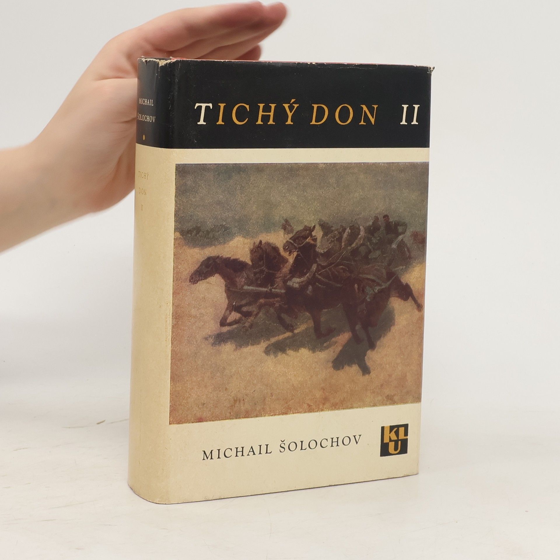 Michail Aleksandrovič Šolochov Tichý Don II.