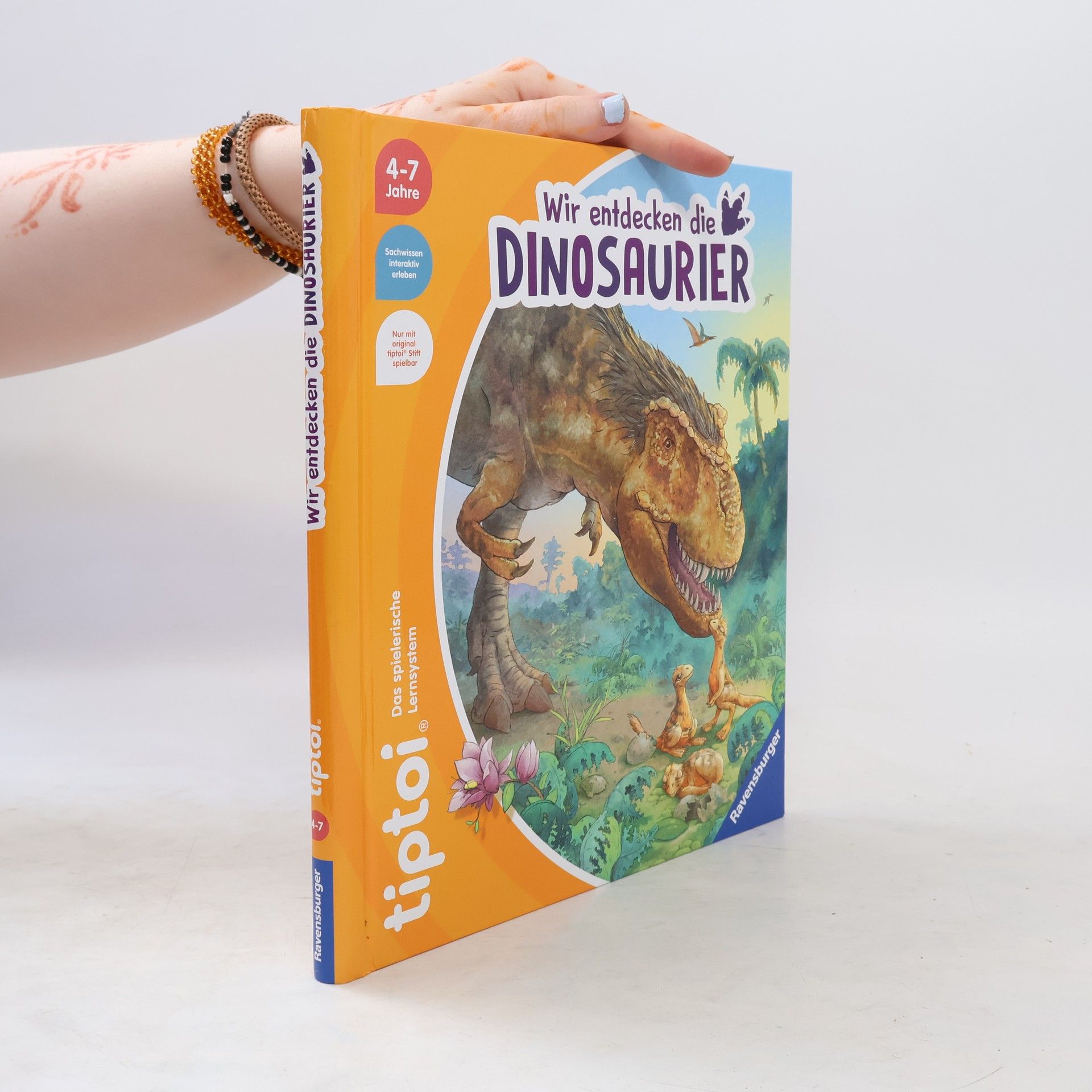 Inka Friese Wir entdecken die Dinosaurier