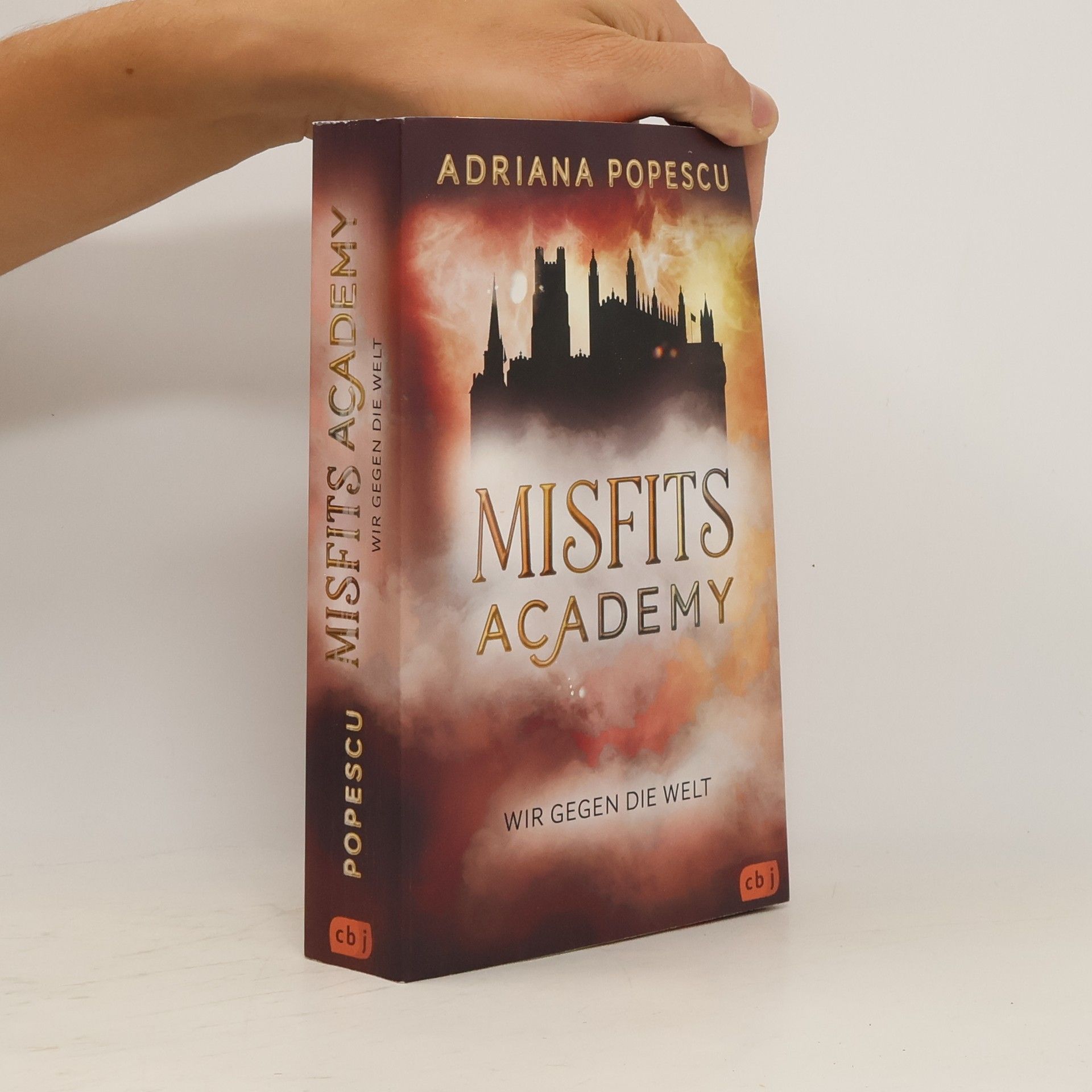 Adriana Popescu Misfits Academy - Wir gegen die Welt