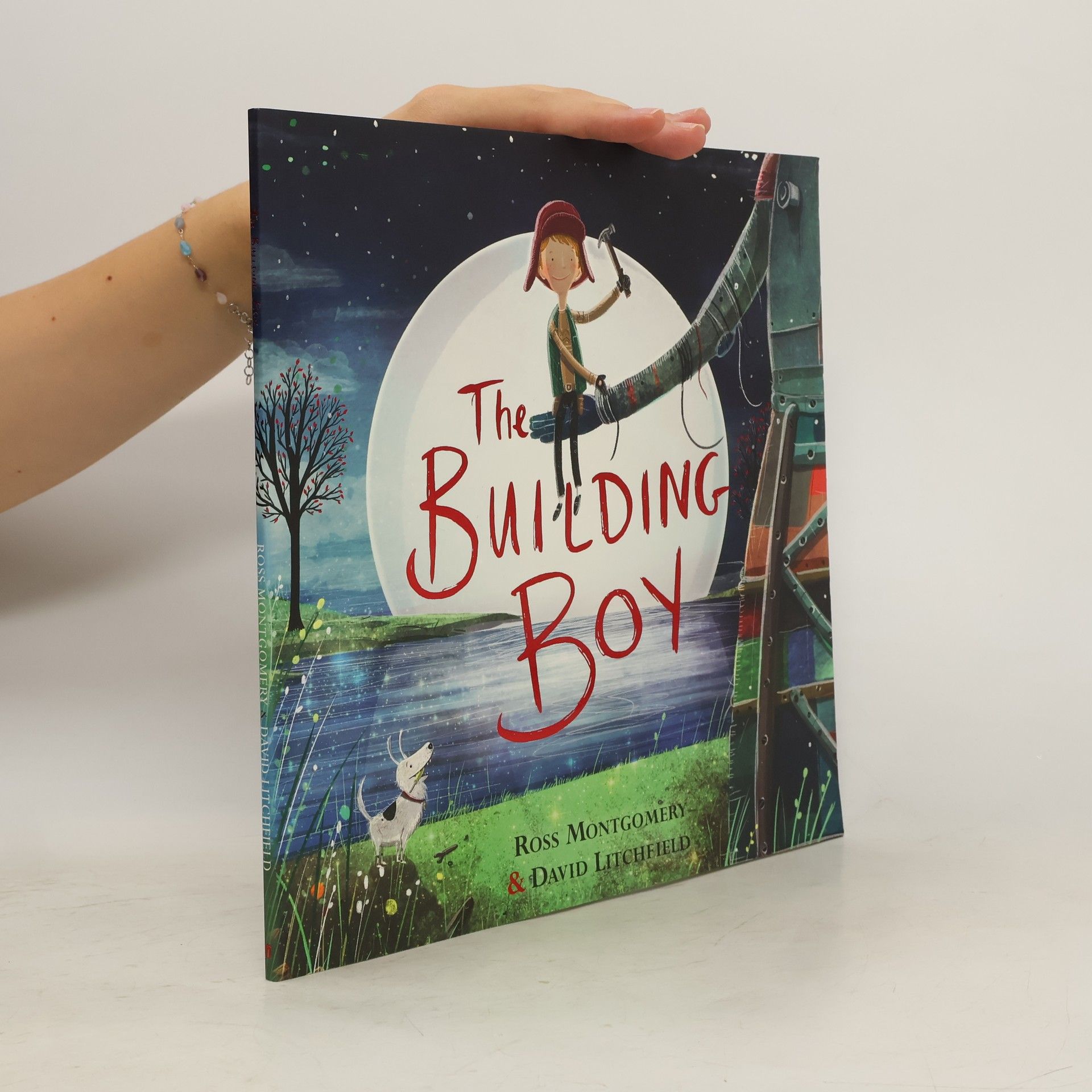 Ross Montgomery The Building Boy