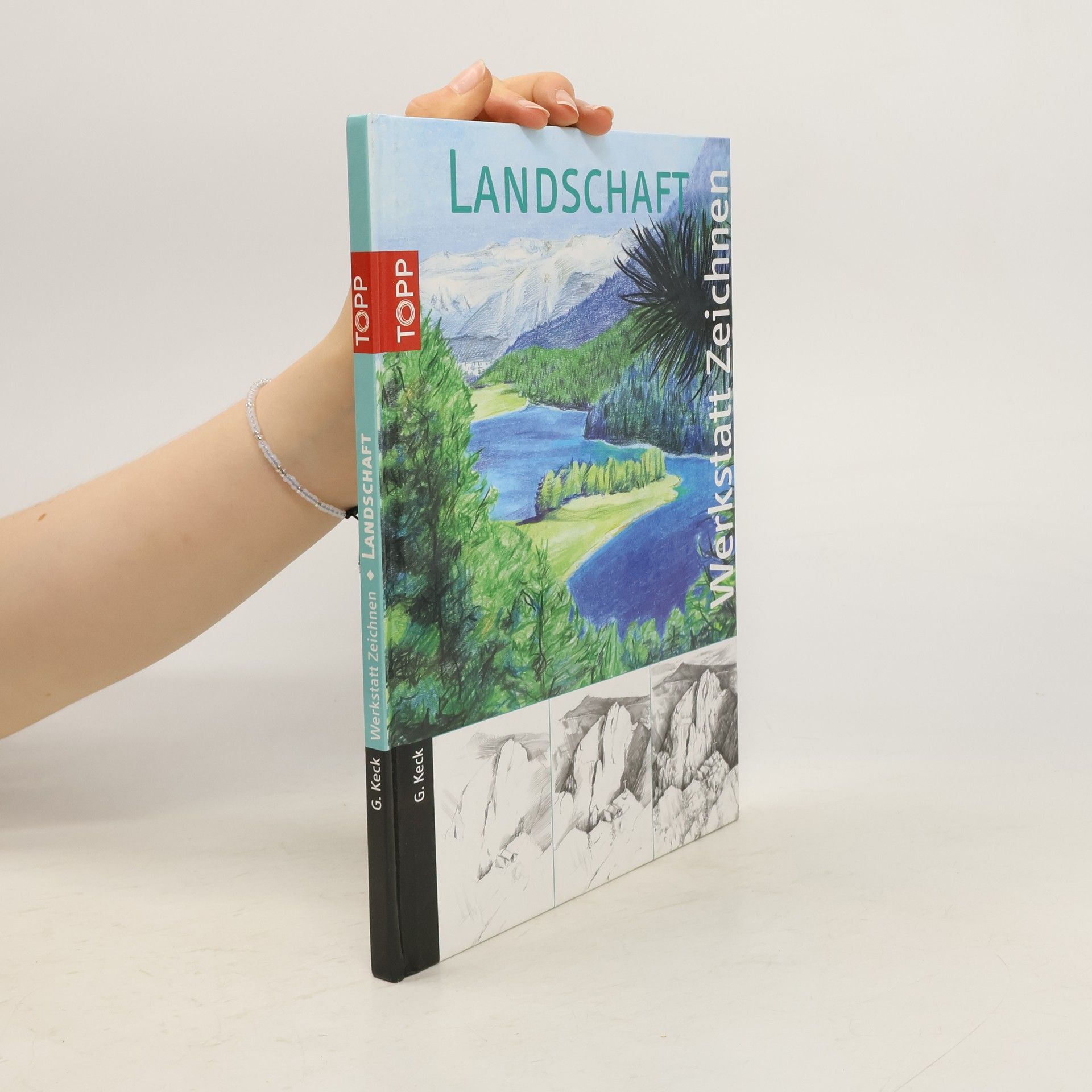 Gecko Keck Landschaft