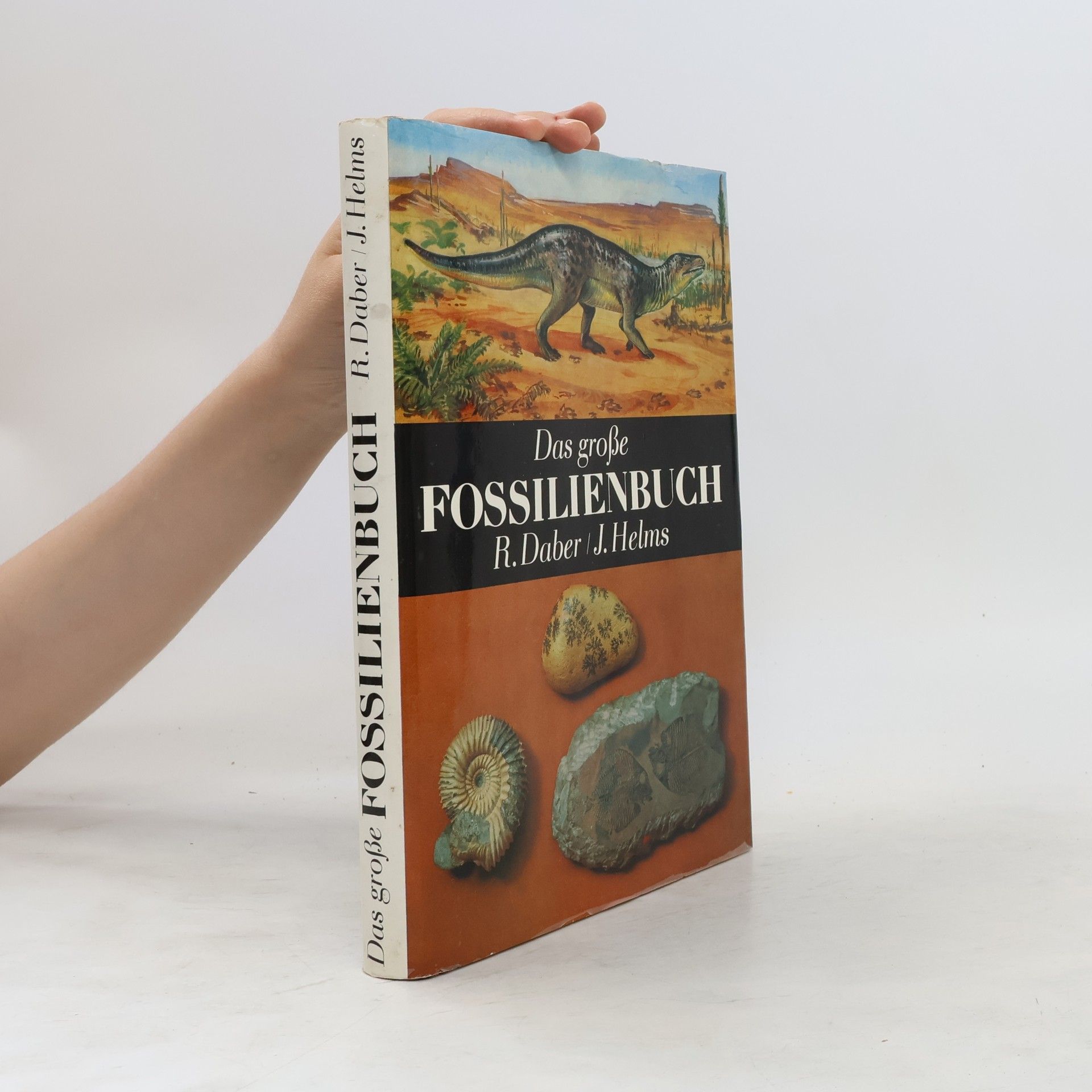 Rudolf Daber Das grosse Fossilienbuch