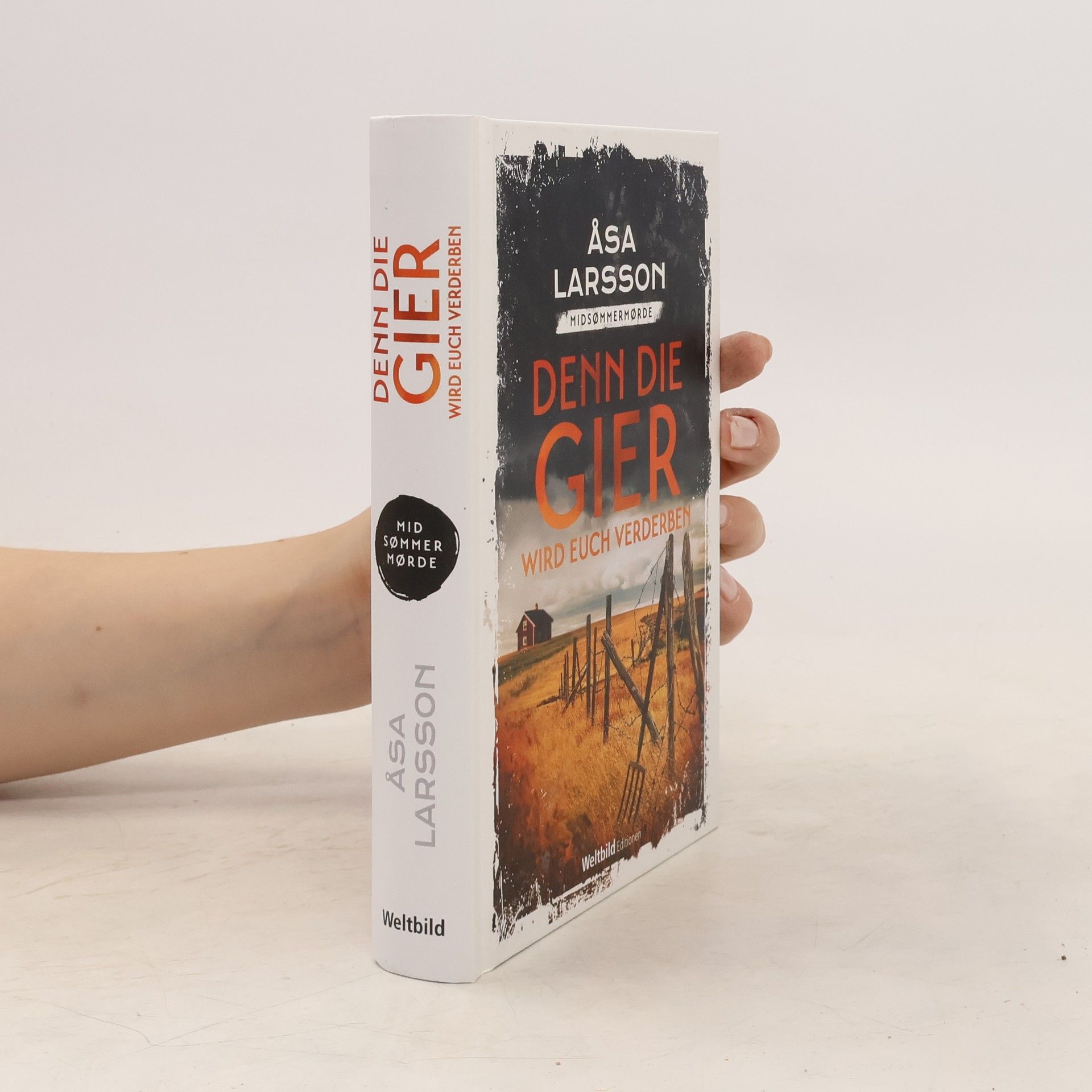 Åsa Larsson Denn die Gier wird euch verderben