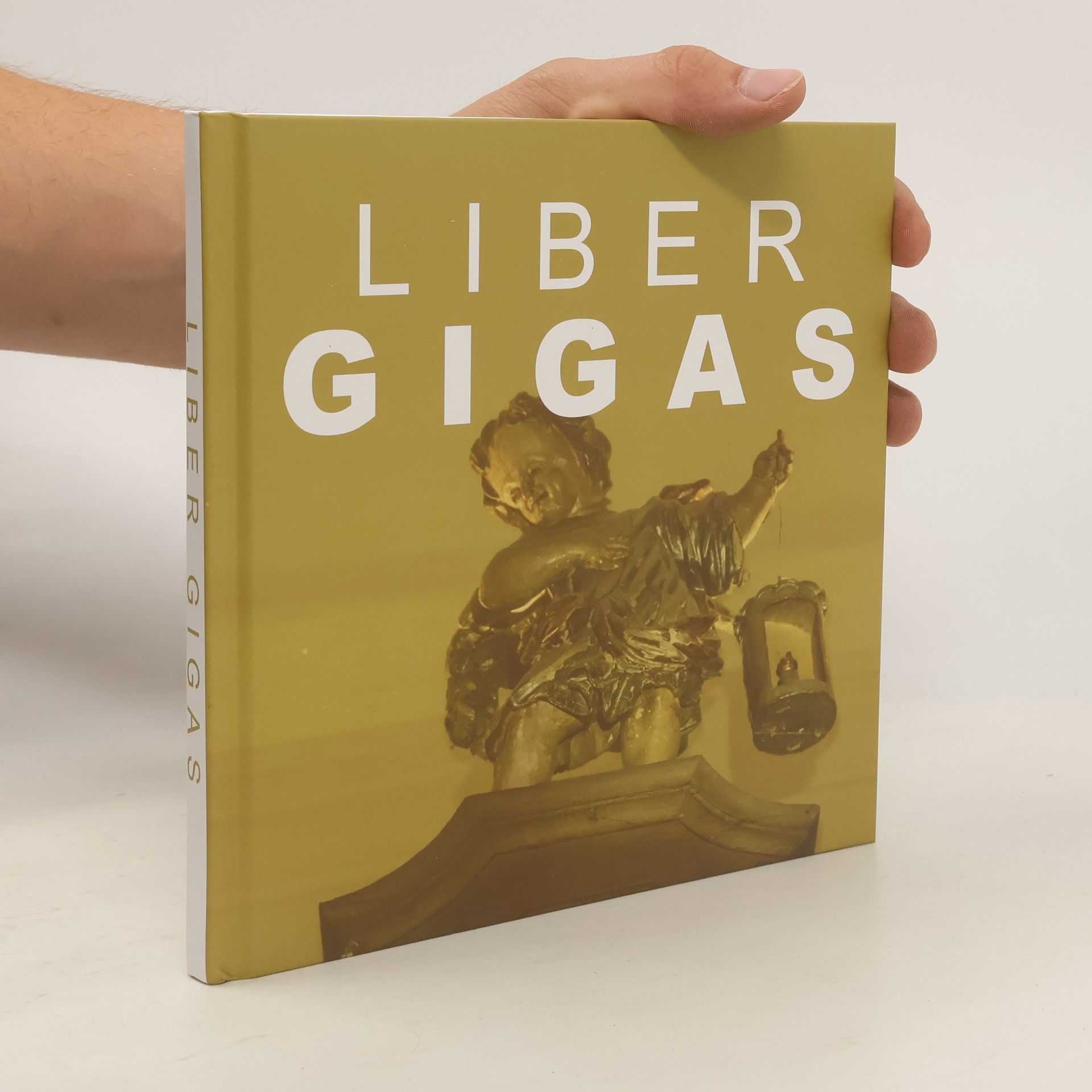 Martin Lanži Liber Gigas
