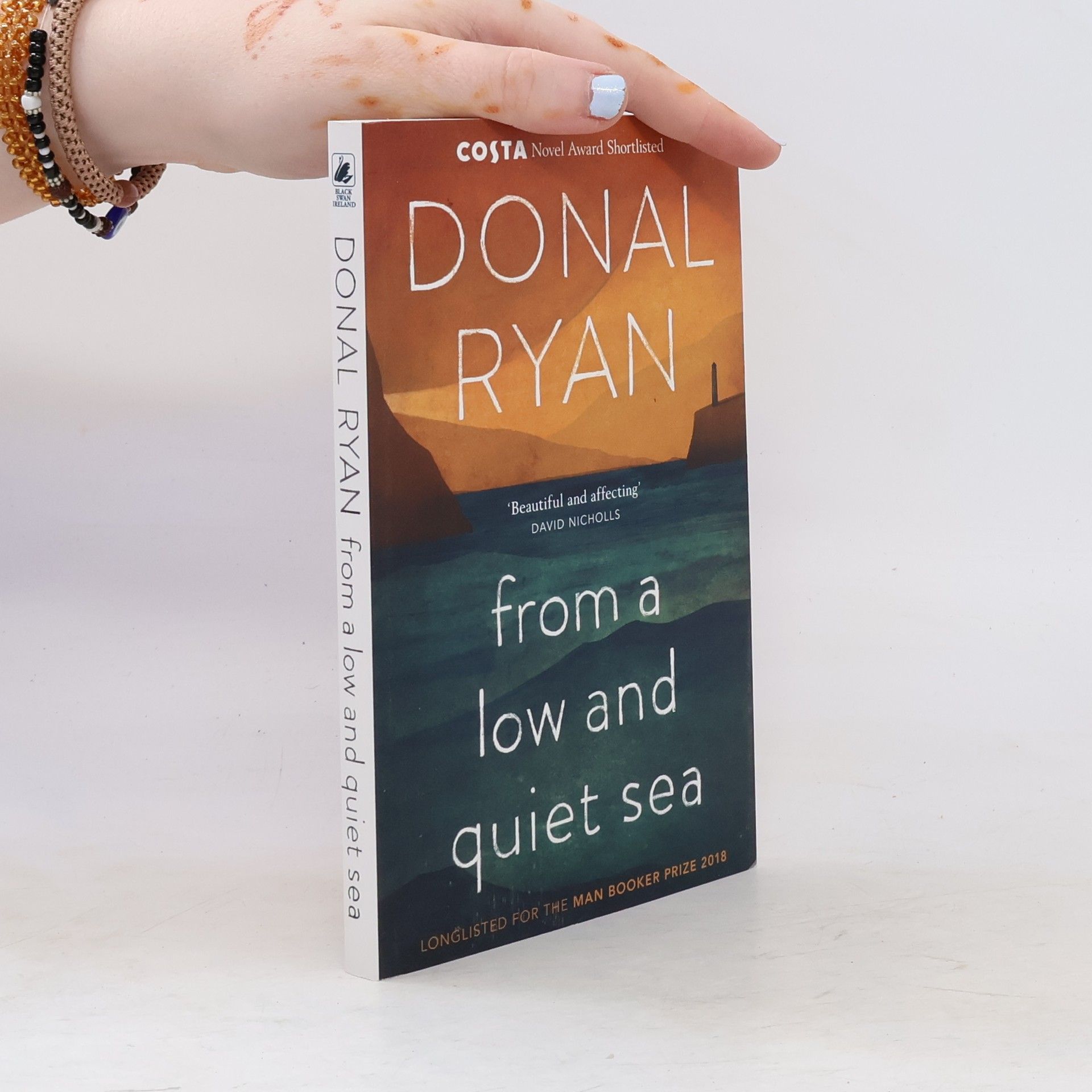 Donal Ryan From a Low and Quiet Sea