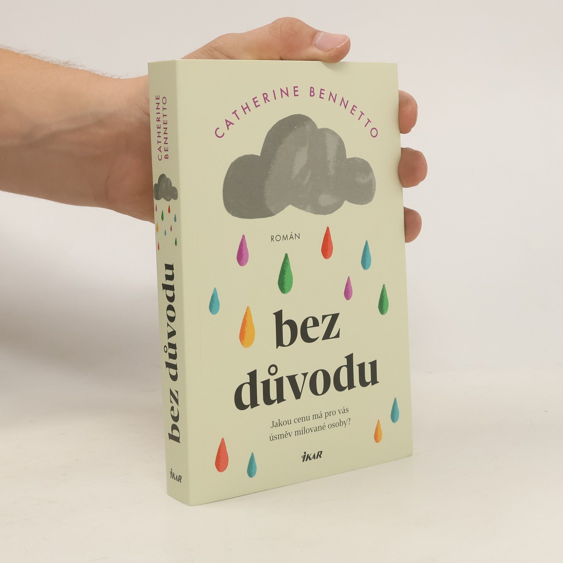 Irena Steinerová Bez důvodu