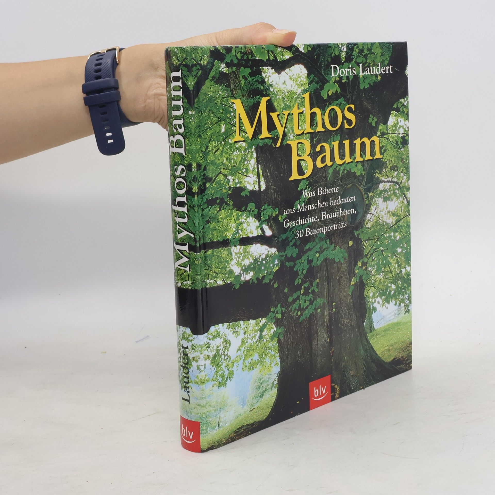 Doris Laudert Mythos Baum