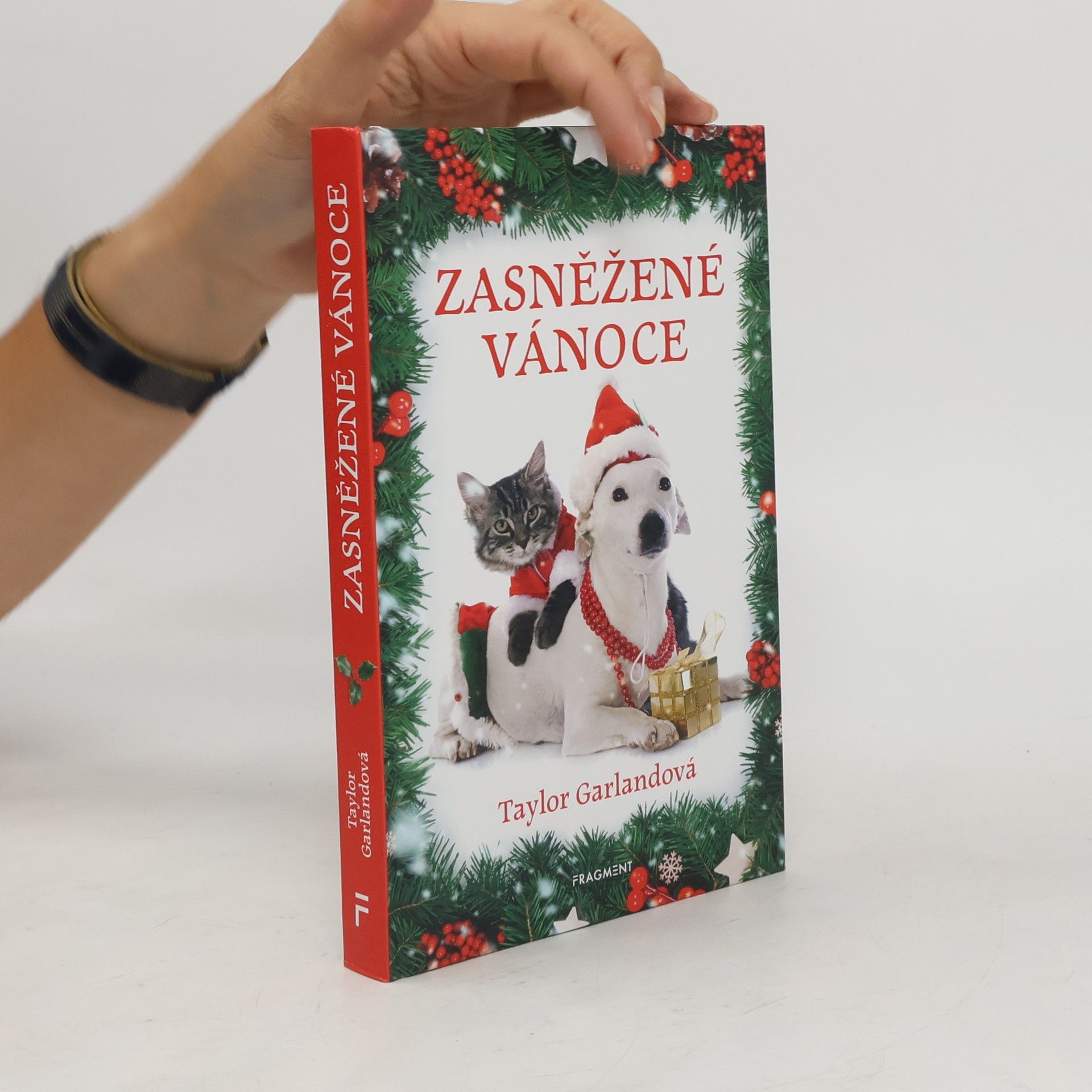 Zasněžené Vánoce