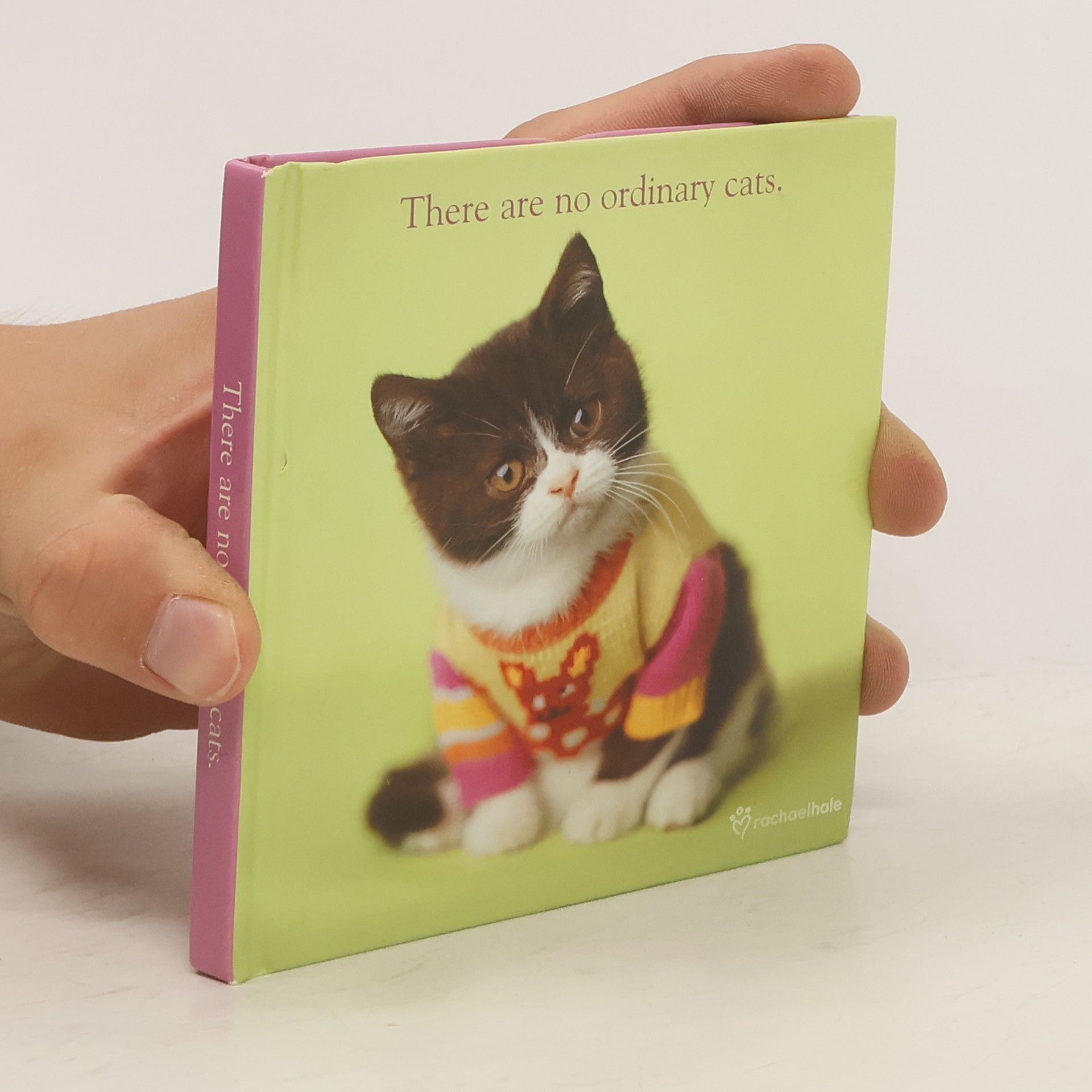 Rachael McKenna There Are No Ordinary Cats.
