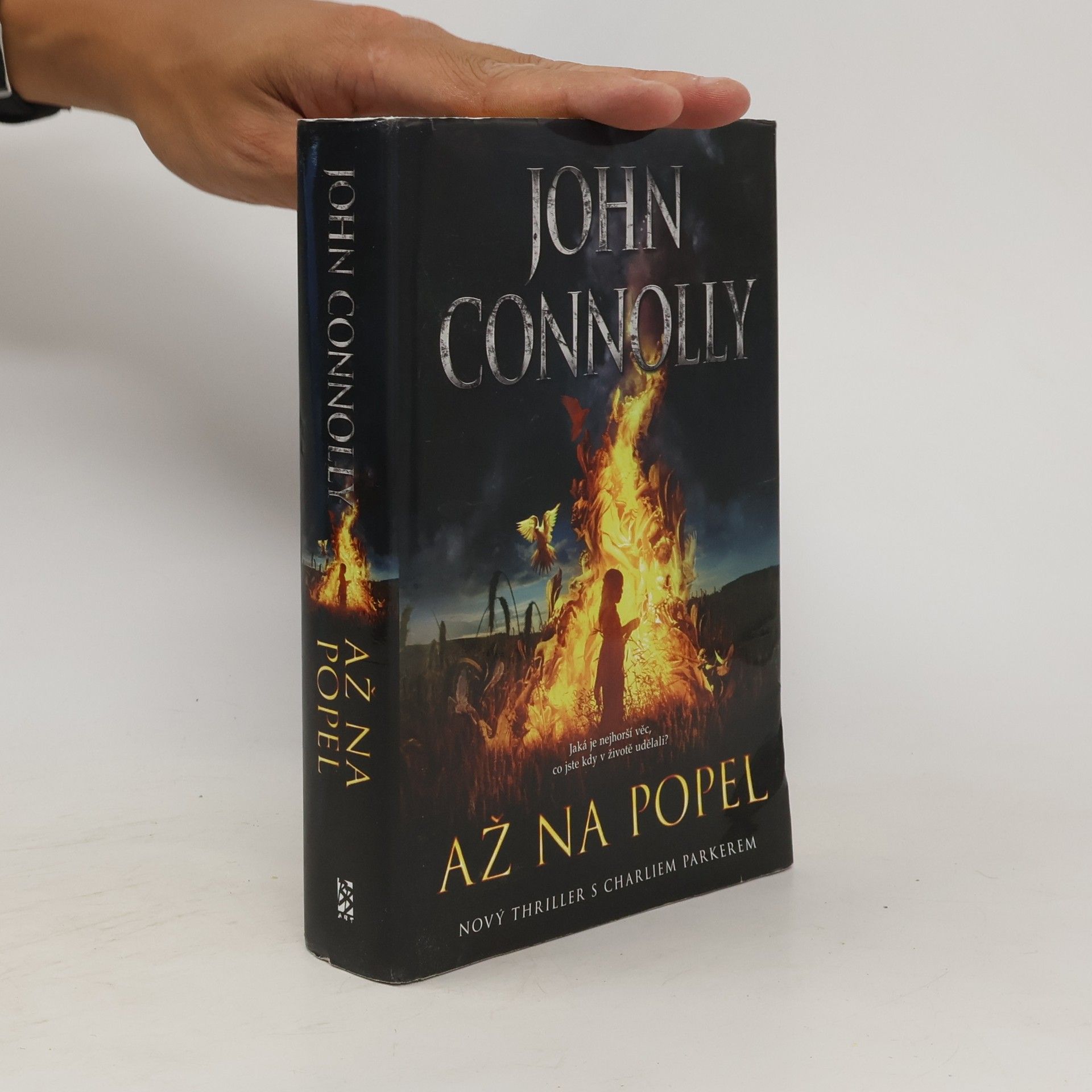 John Connolly Až na popel