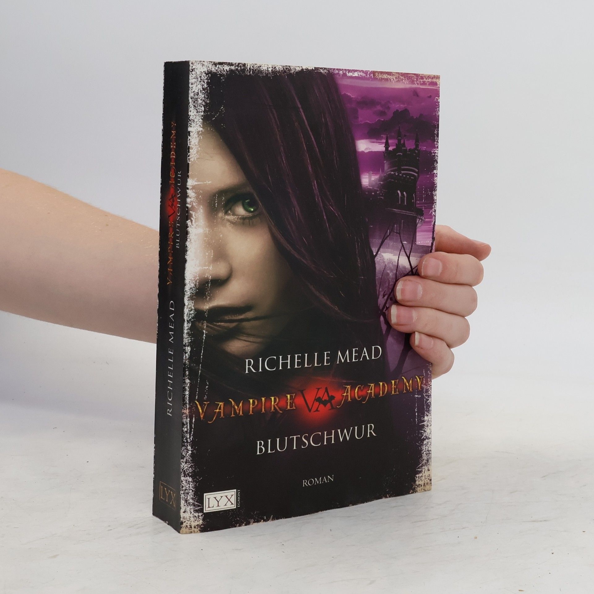 Richelle Mead Vampire Academy. Blutschwur