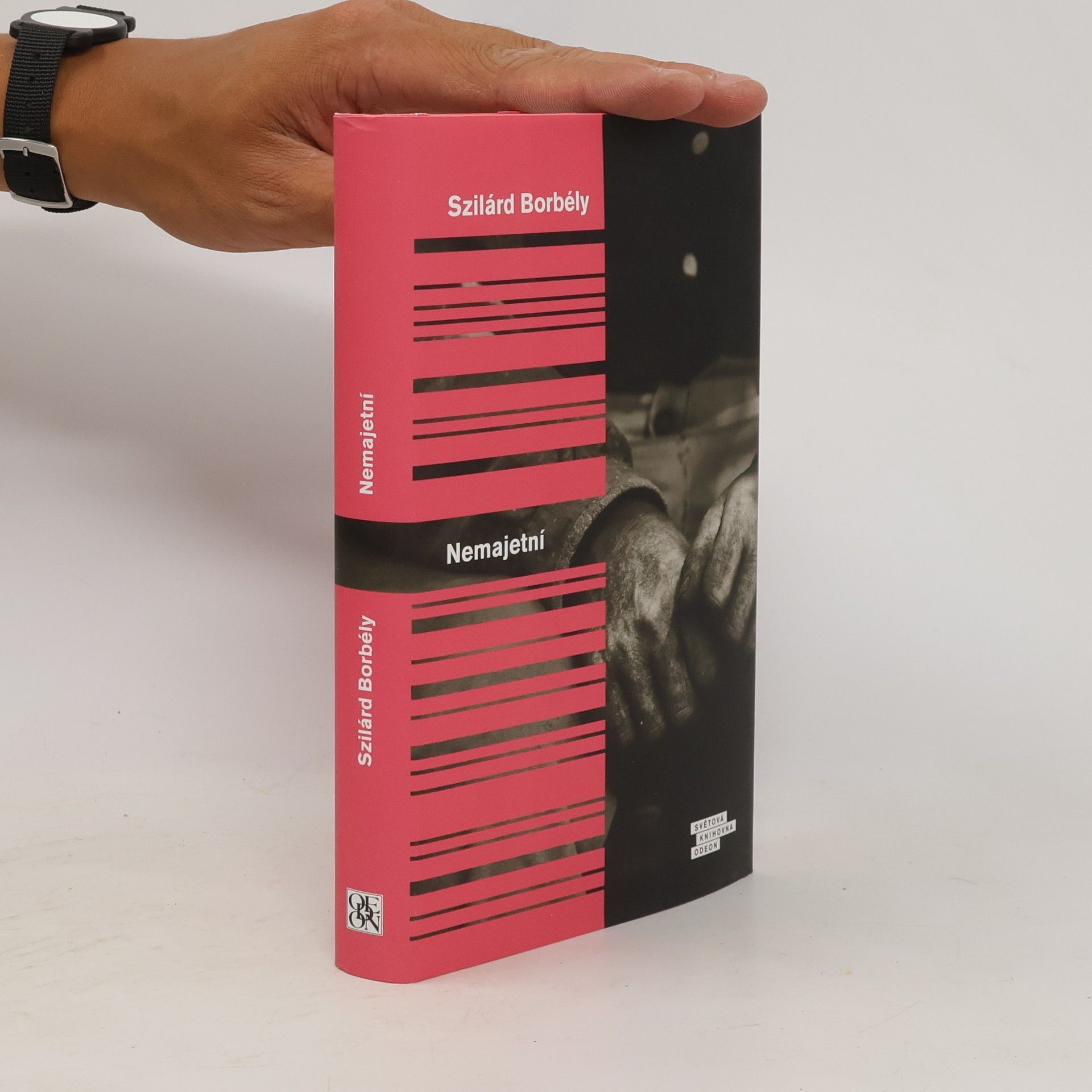 Szilárd Borbély Nemajetní