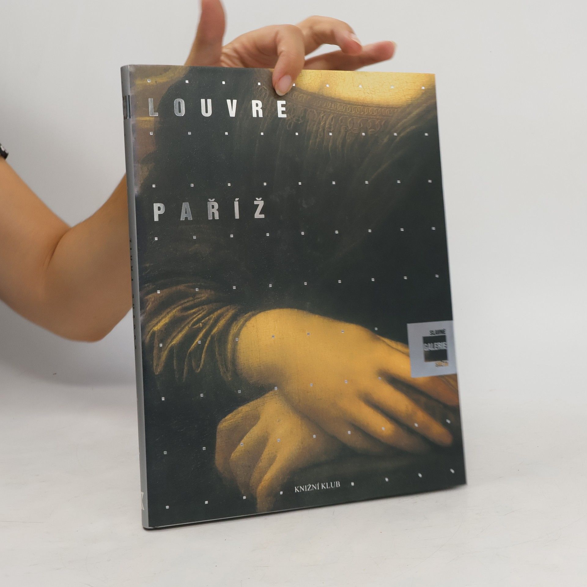 Alessandra Fregolent Slavné galerie světa. Louvre - Paříž