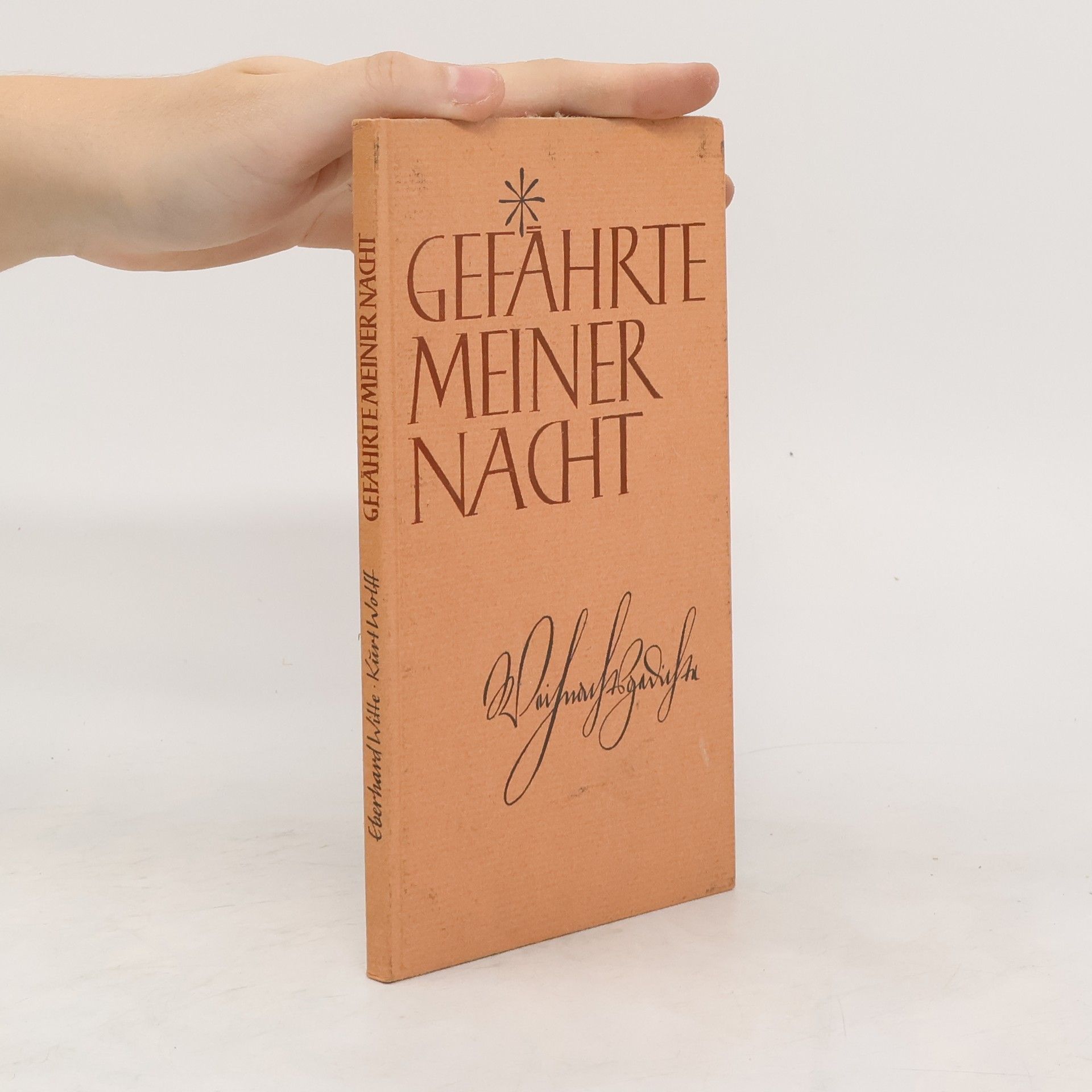 Collectif d'auteurs Gefährte meiner Nacht