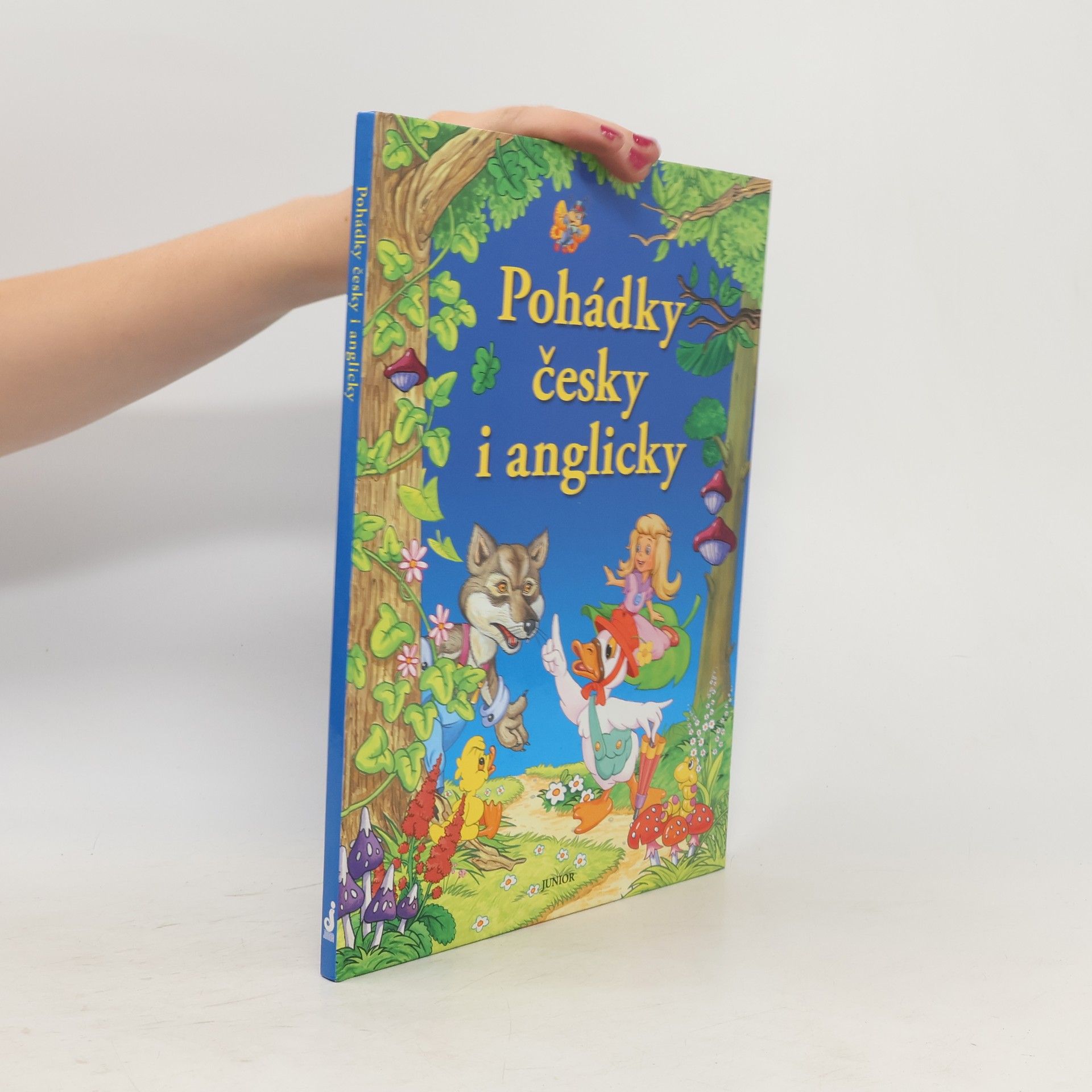 Dorota Fic Pohádky česky i anglicky