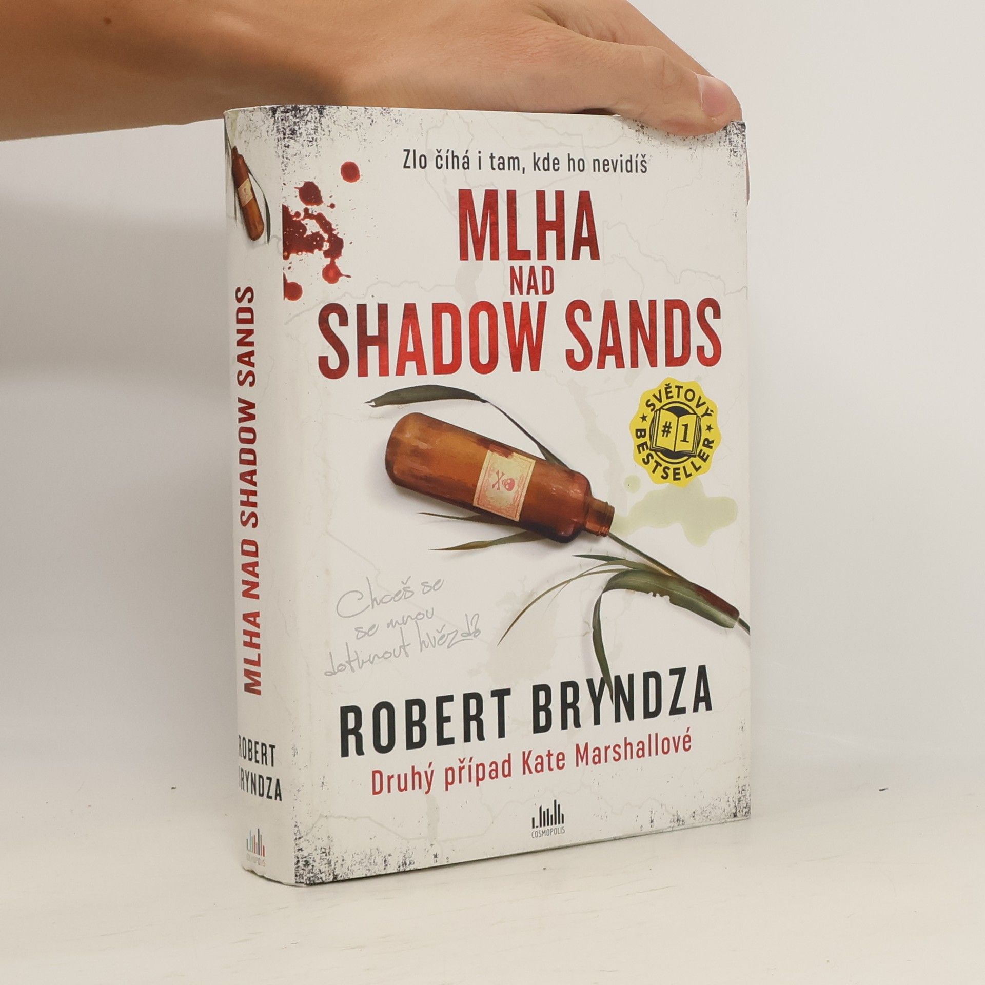 Robert Bryndza Mlha nad Shadow Sands