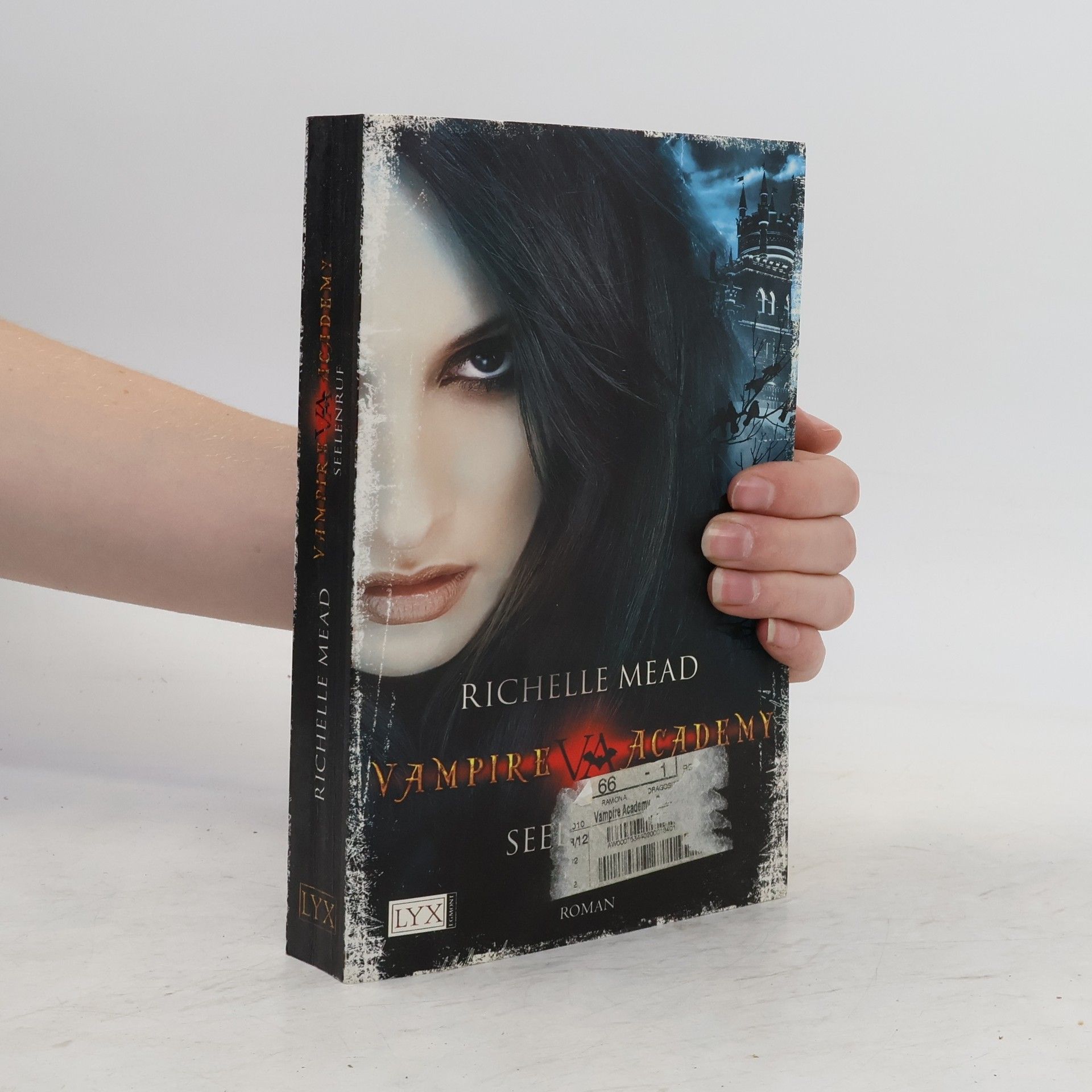 Richelle Mead Vampire Academy. Seelenruf