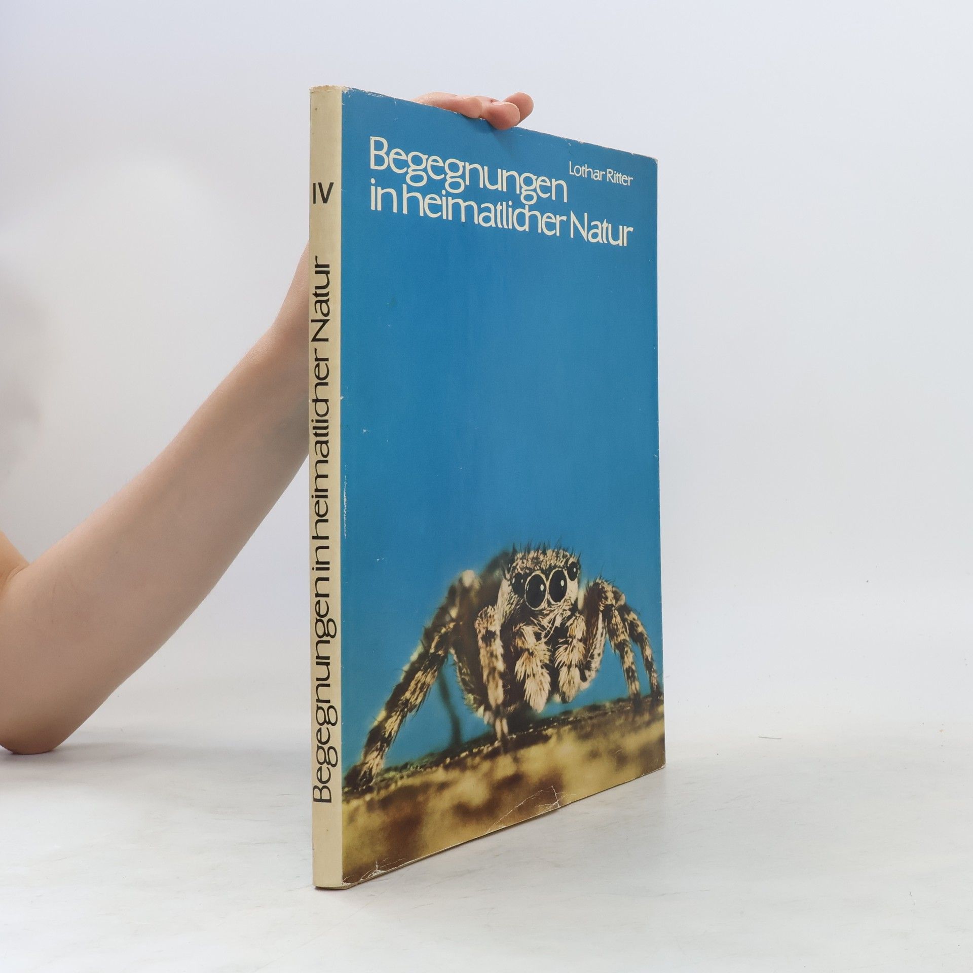 Lothar Ritter Begegnungen in heimatlicher Natur IV