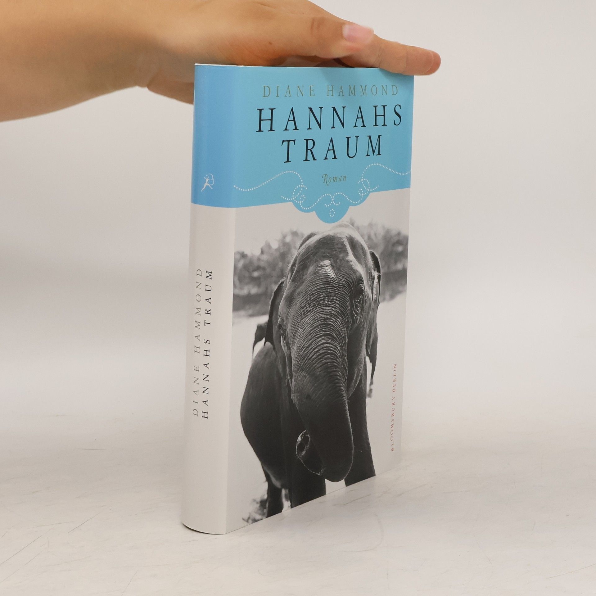 Diane Hammond Hannahs Traum