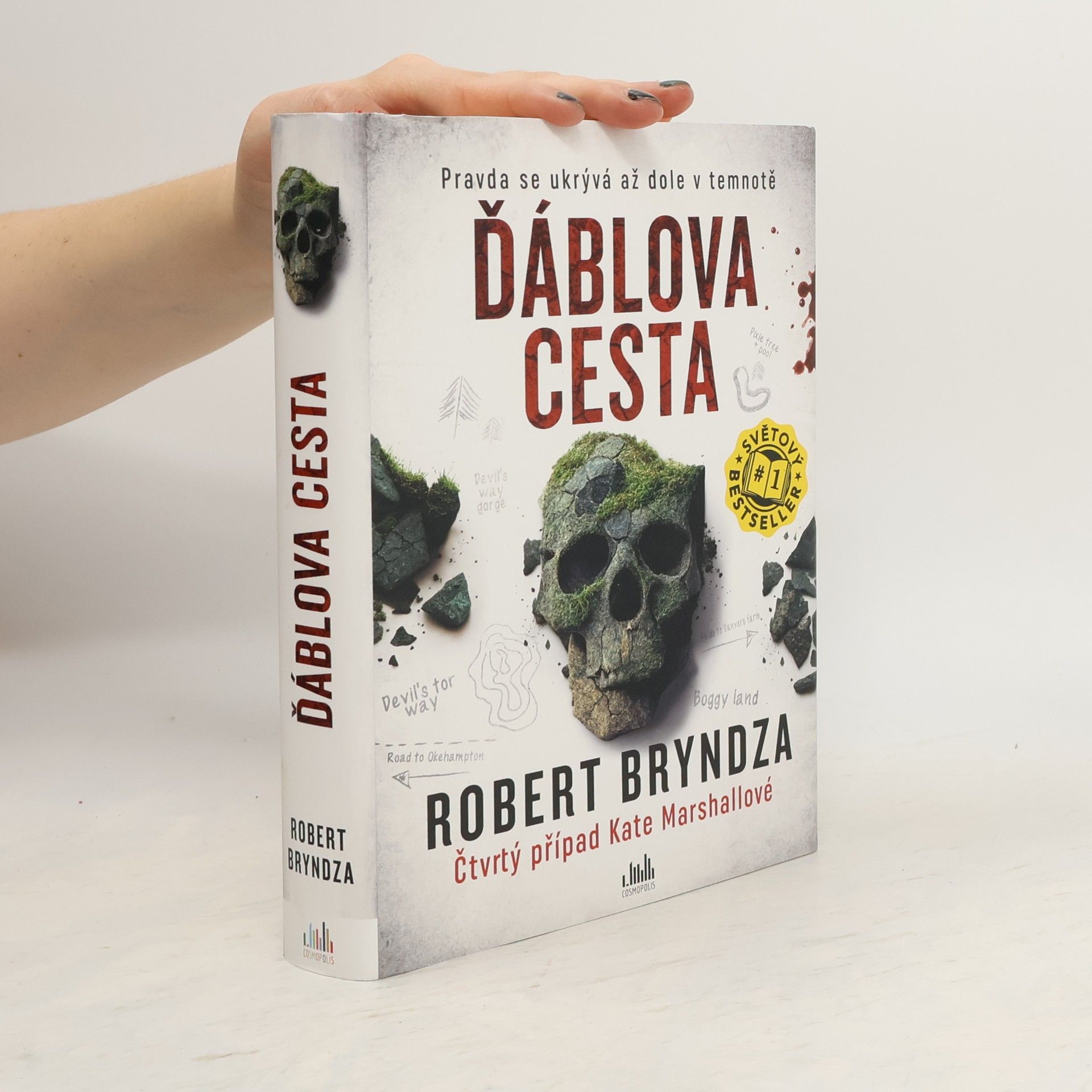 Robert Bryndza Ďáblova cesta