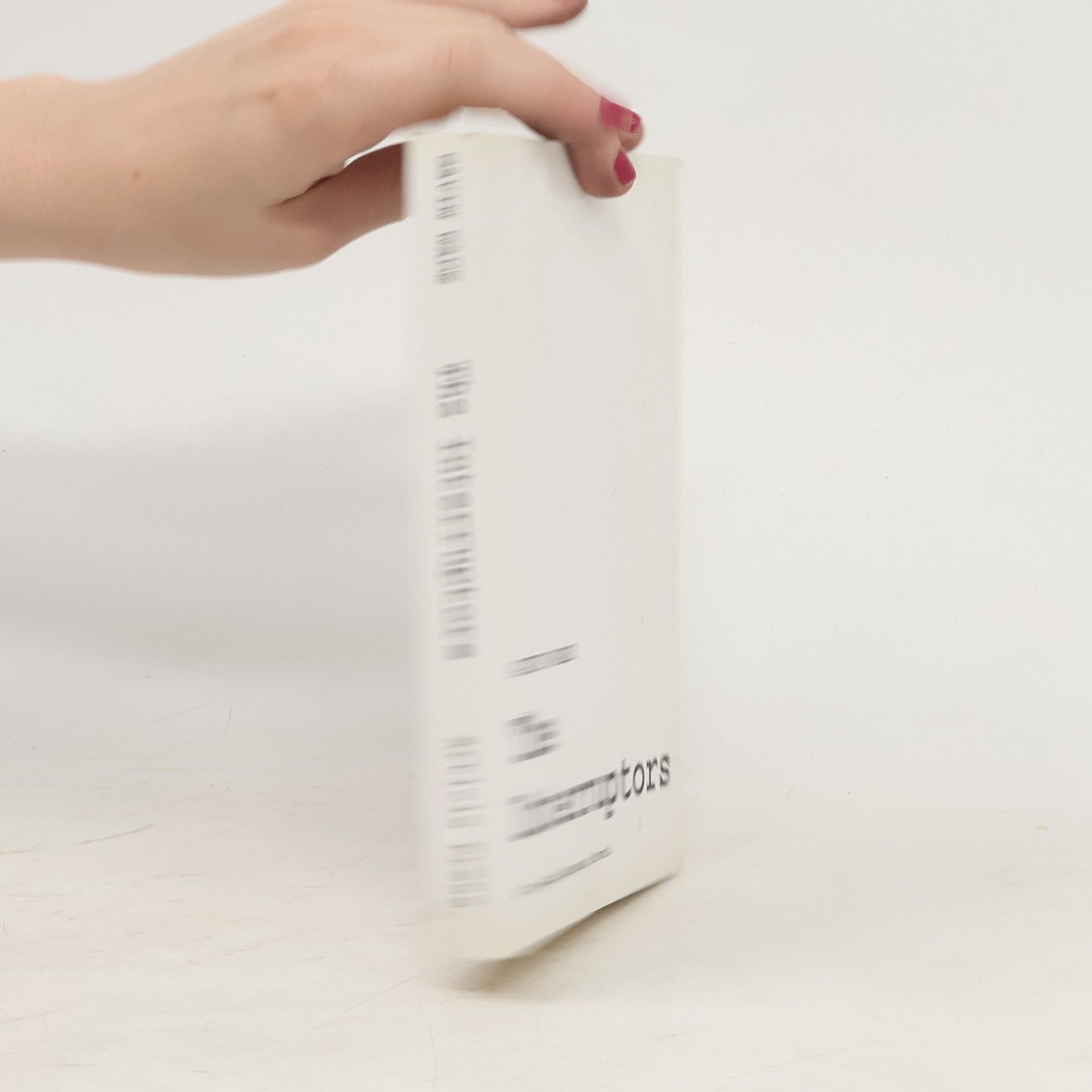 Autores varios The Interruptors