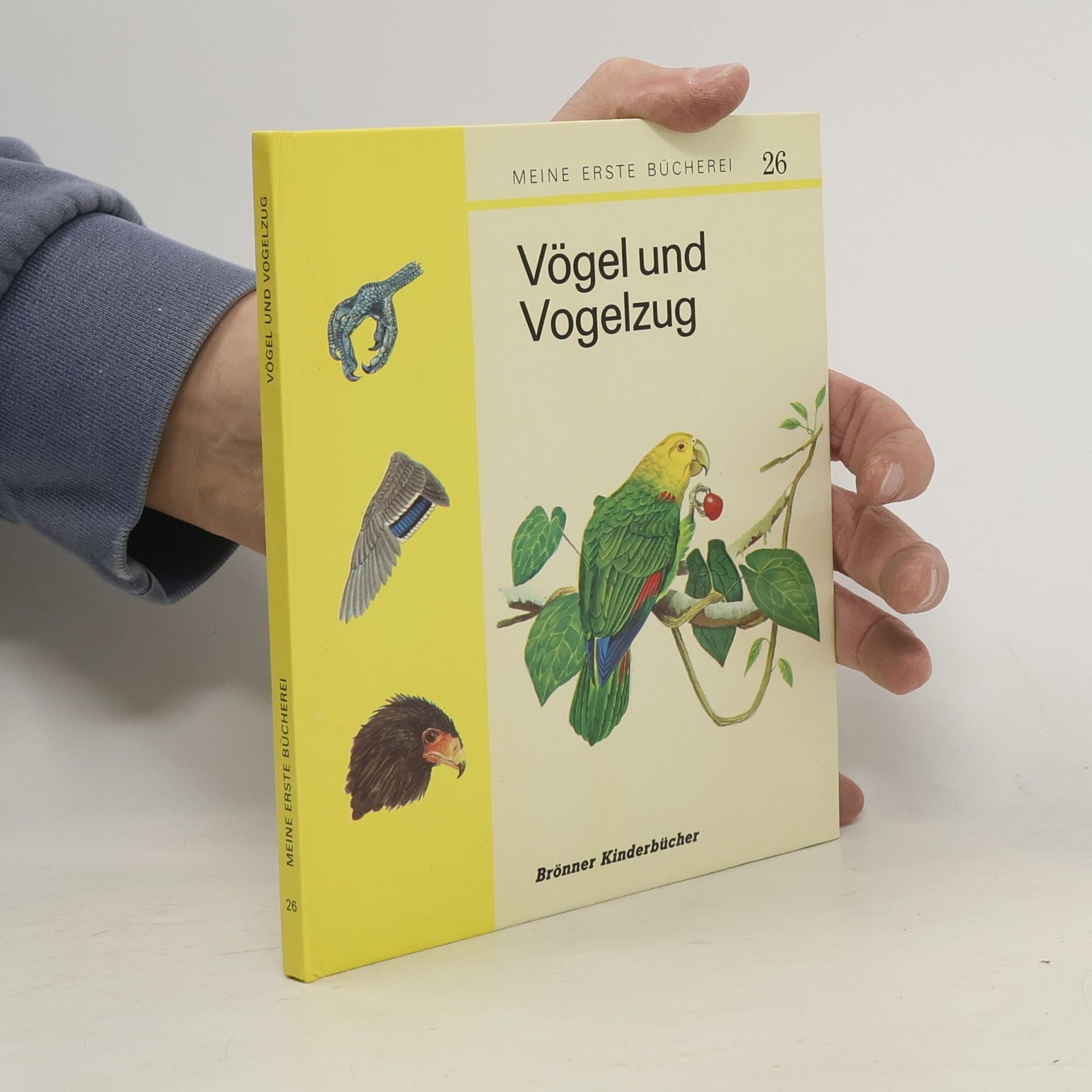 kolektiv Zugvögel und Vogelzug