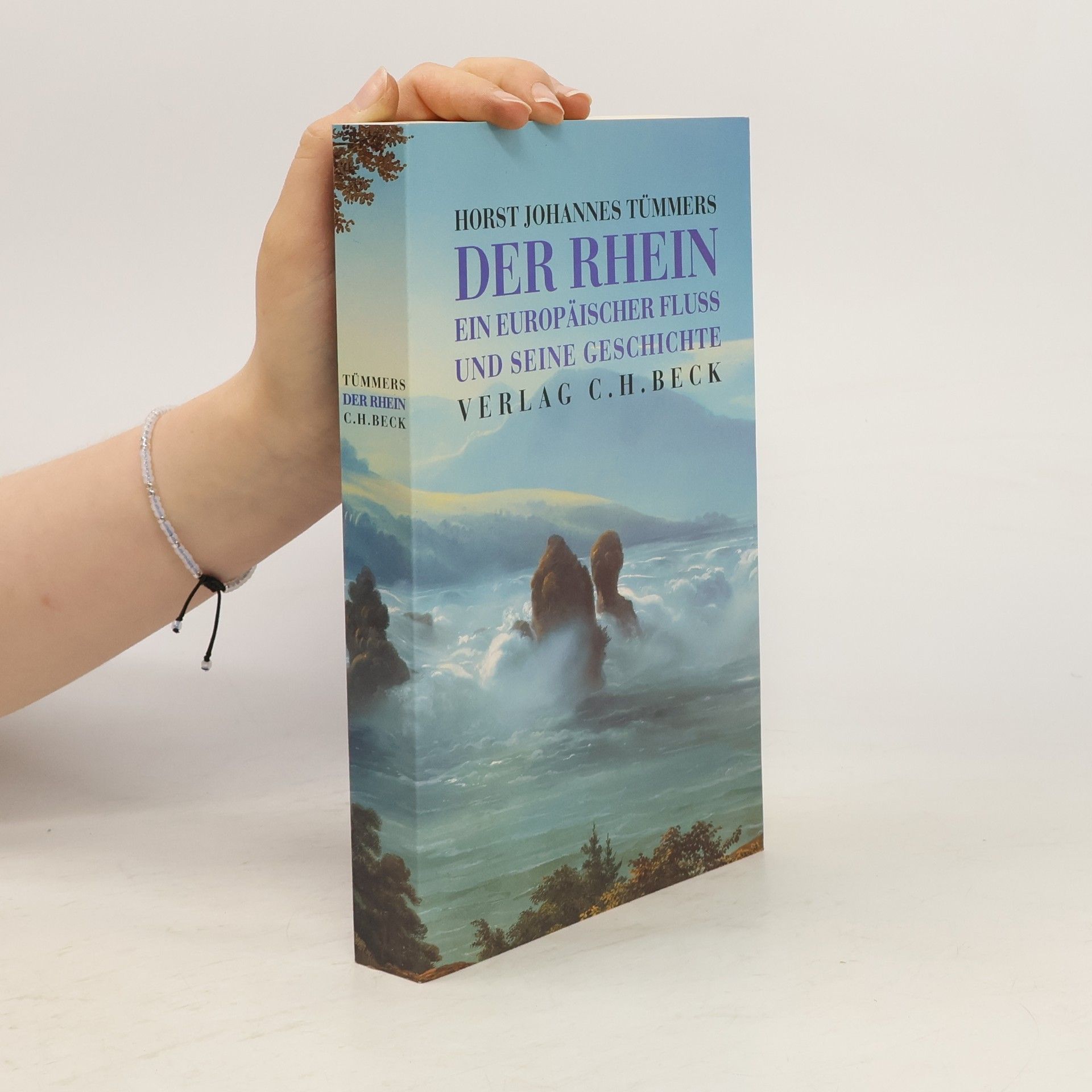 Johannes Horst Der Rhein