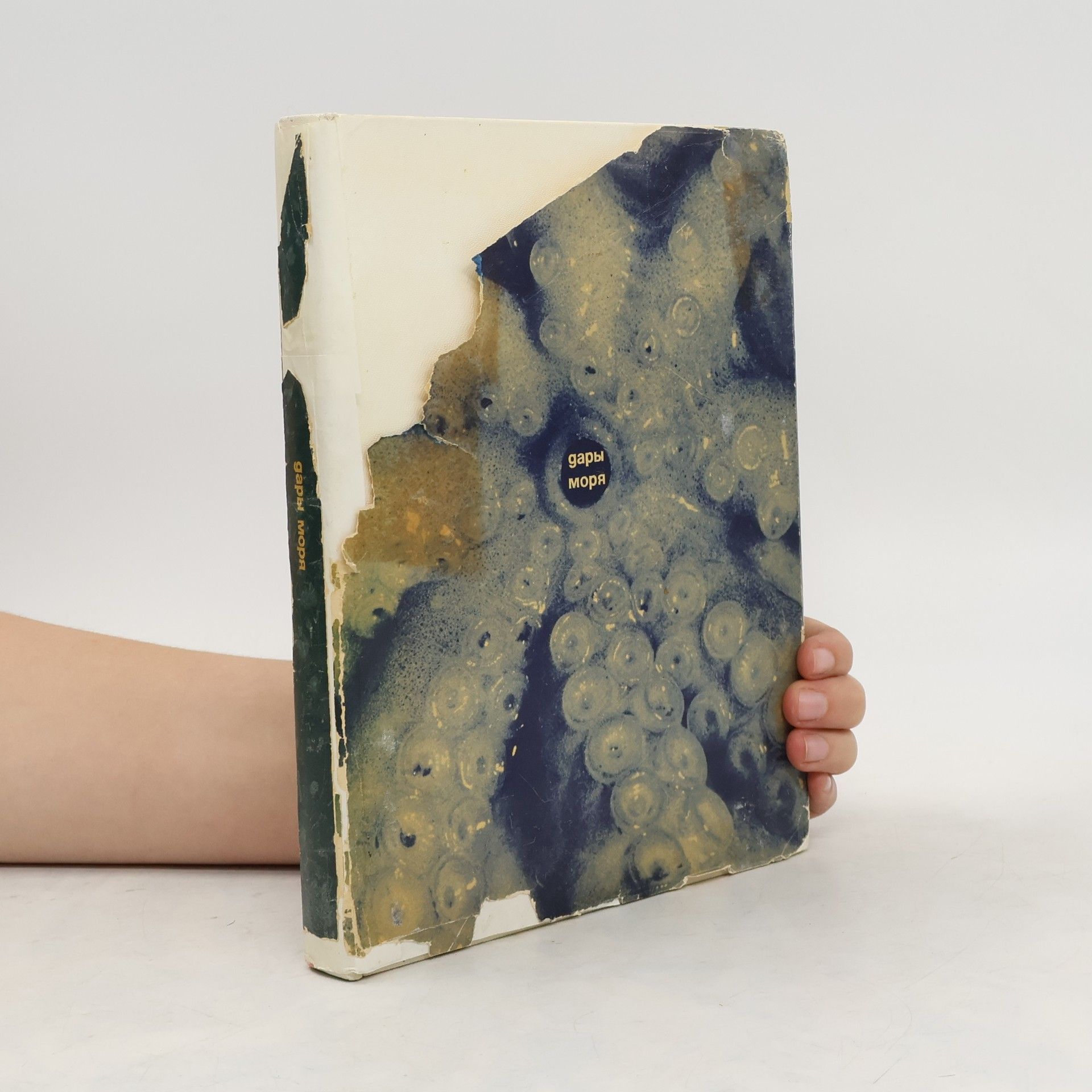 AA.VV. Дары моря