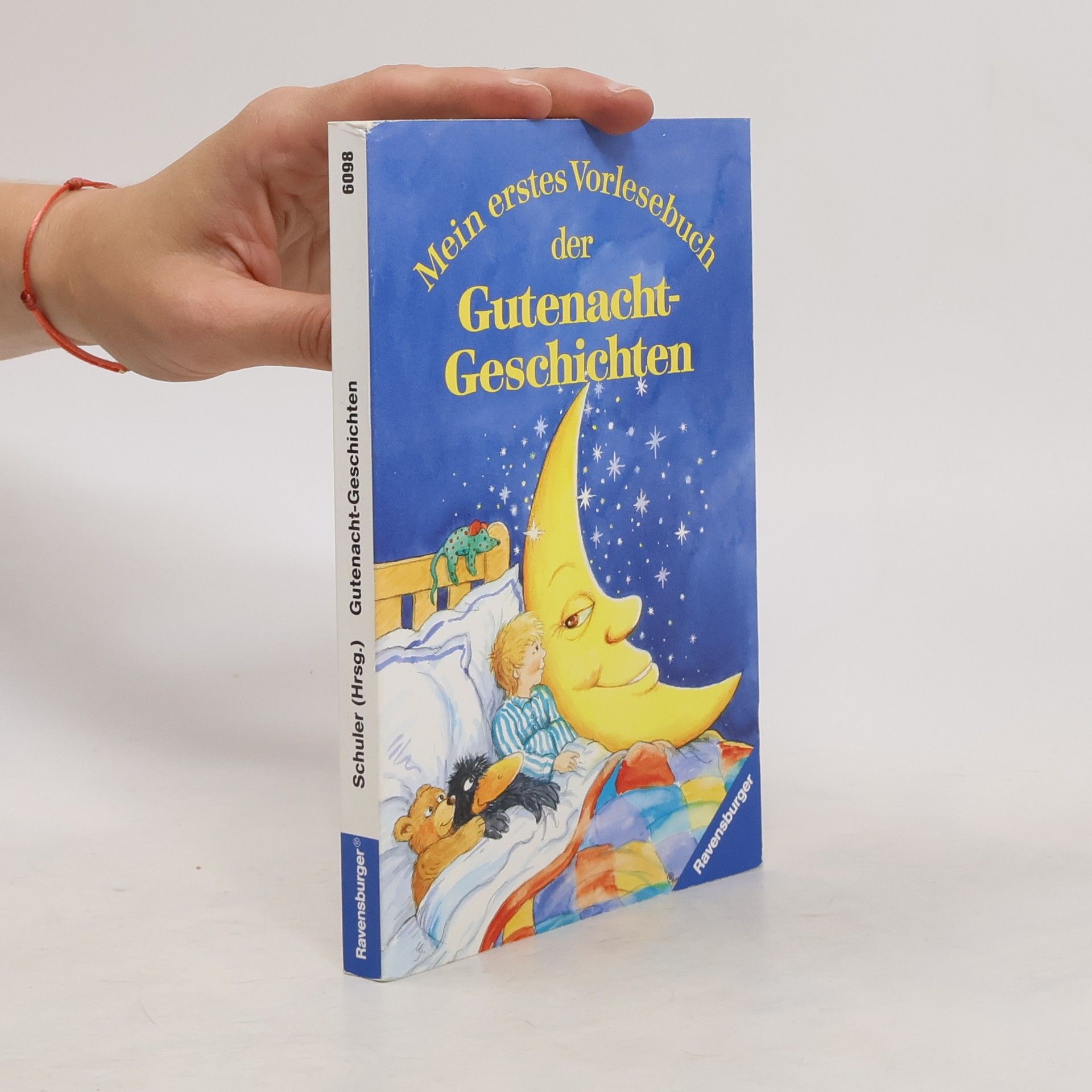 Kolektiv autorů Mein erstes Vorlesebuch der Gutenacht-Geschichten