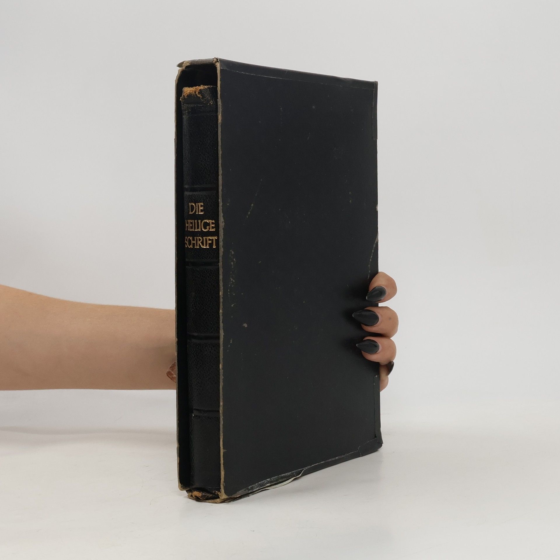 Martin Luther Die Heilige Schrift des Alten und Neuen Testamentes