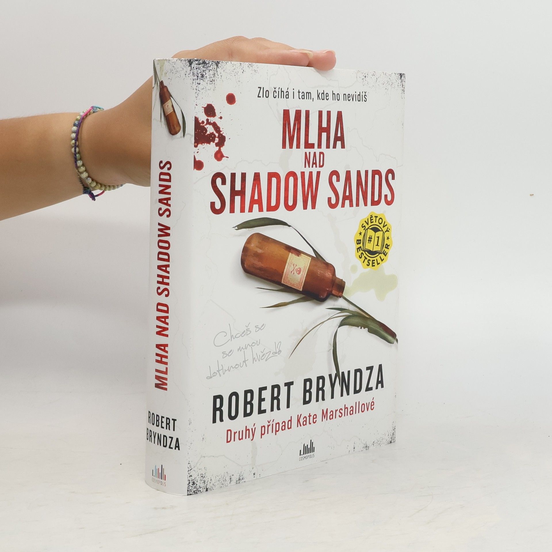 Robert Bryndza Mlha nad Shadow Sands