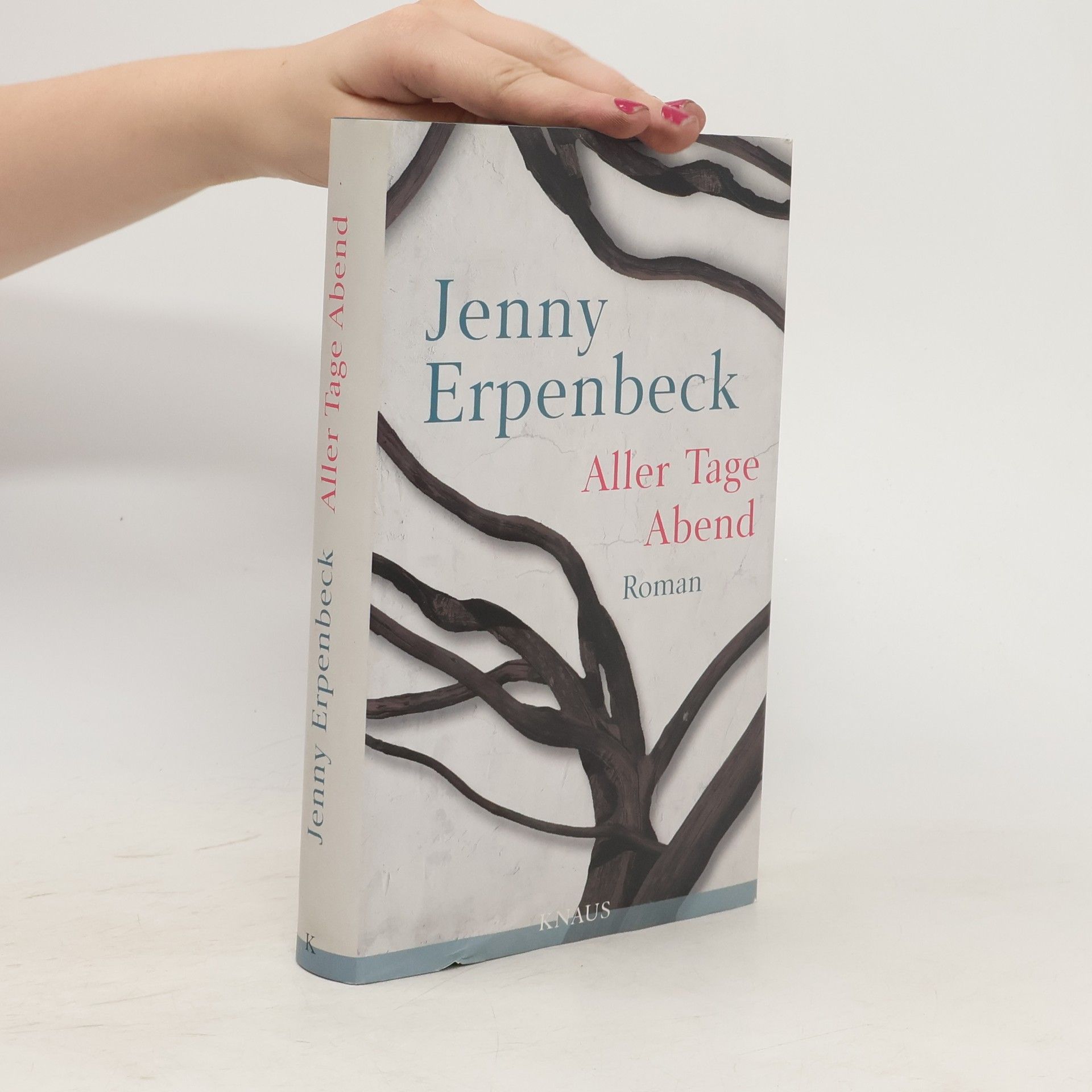 Jenny Erpenbeck Aller Tage Abend