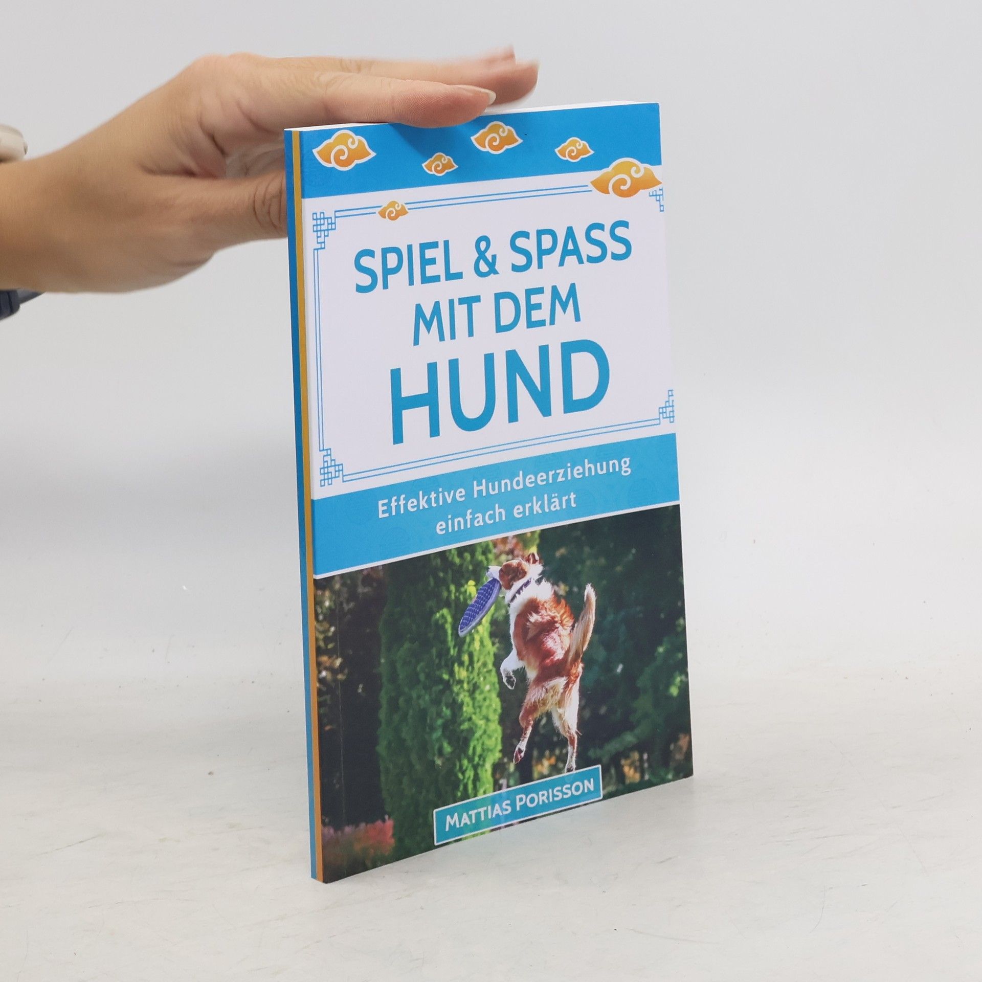 Mattias Porisson Effektive Hundeerziehung - einfach erklärt!: Spiel & Spaß mit dem Hund