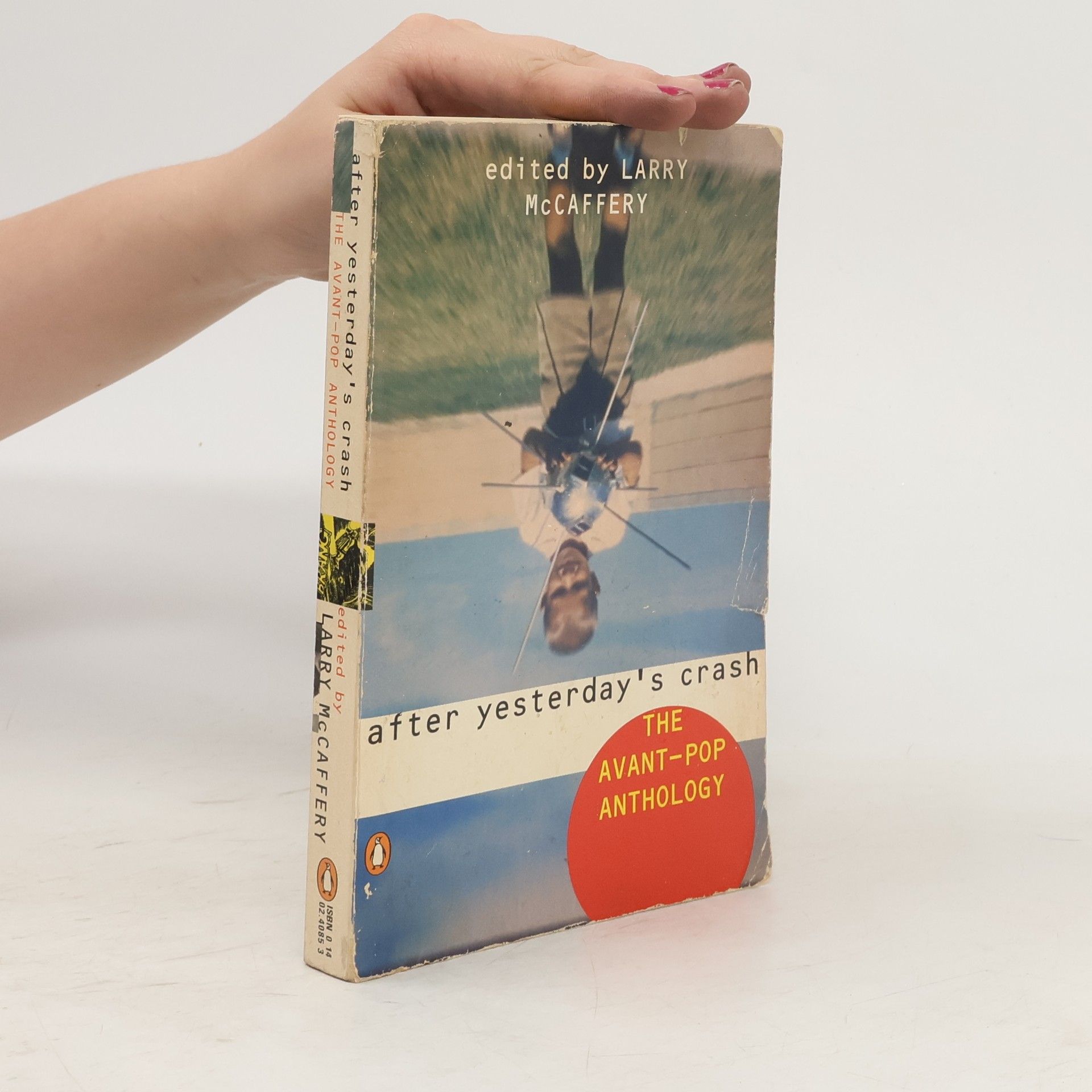 Larry McCaffery After Yesterday's Crash