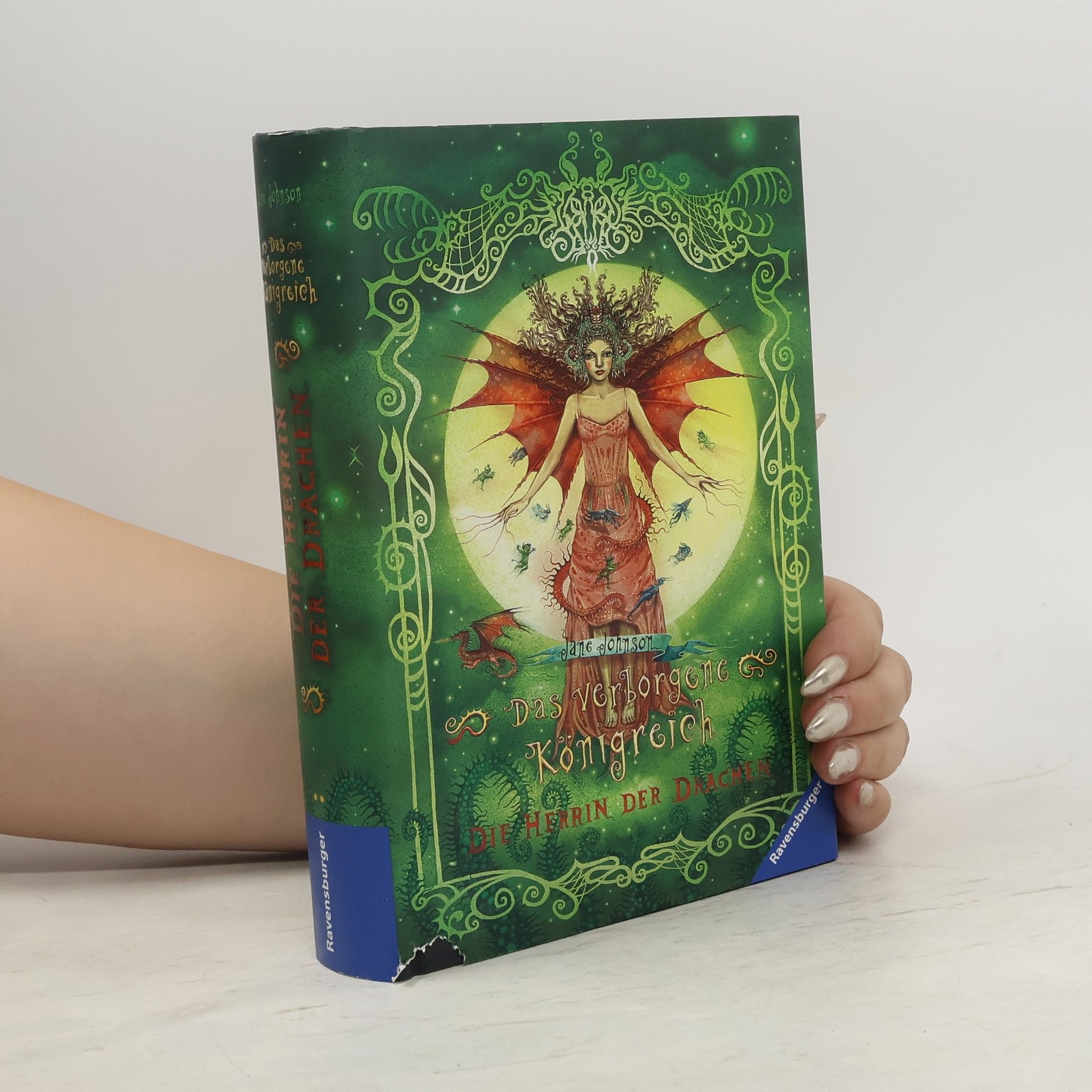 Jude Fisher Das verborgene Königreich 3: Die Herrin der Drachen