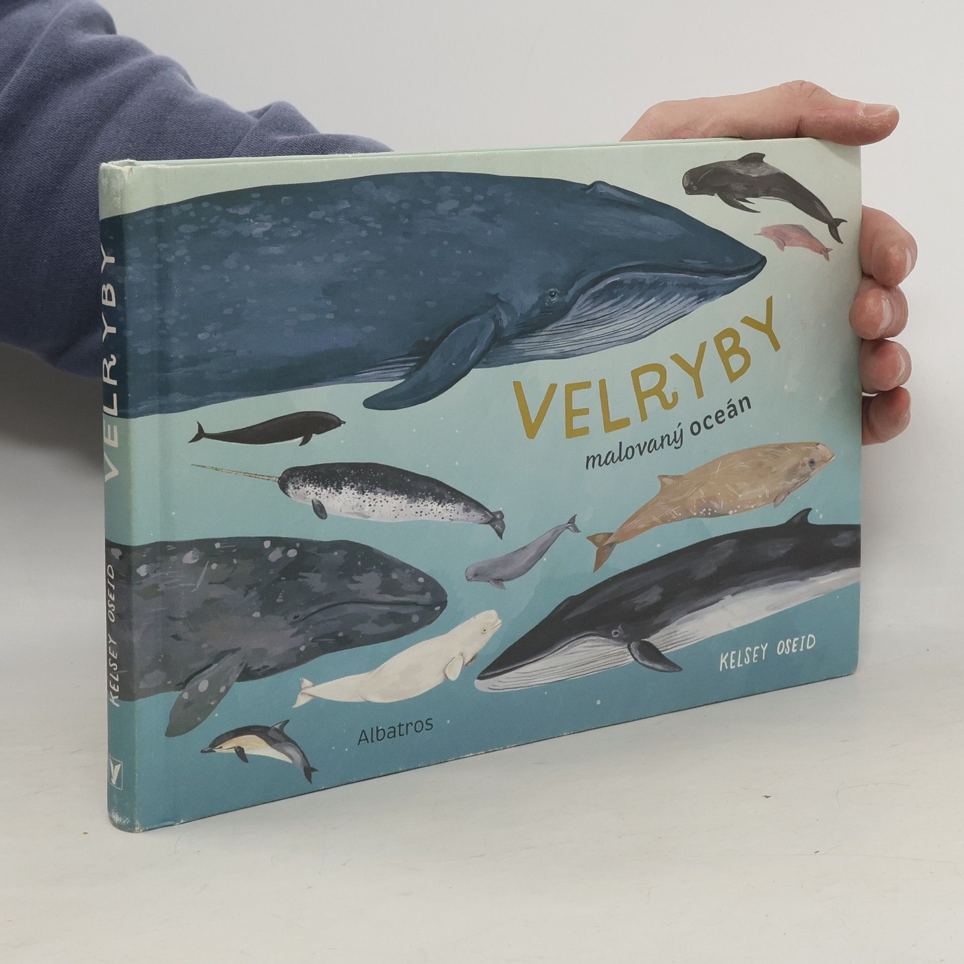 Kelsey Oseid Velryby: Malovaný oceán