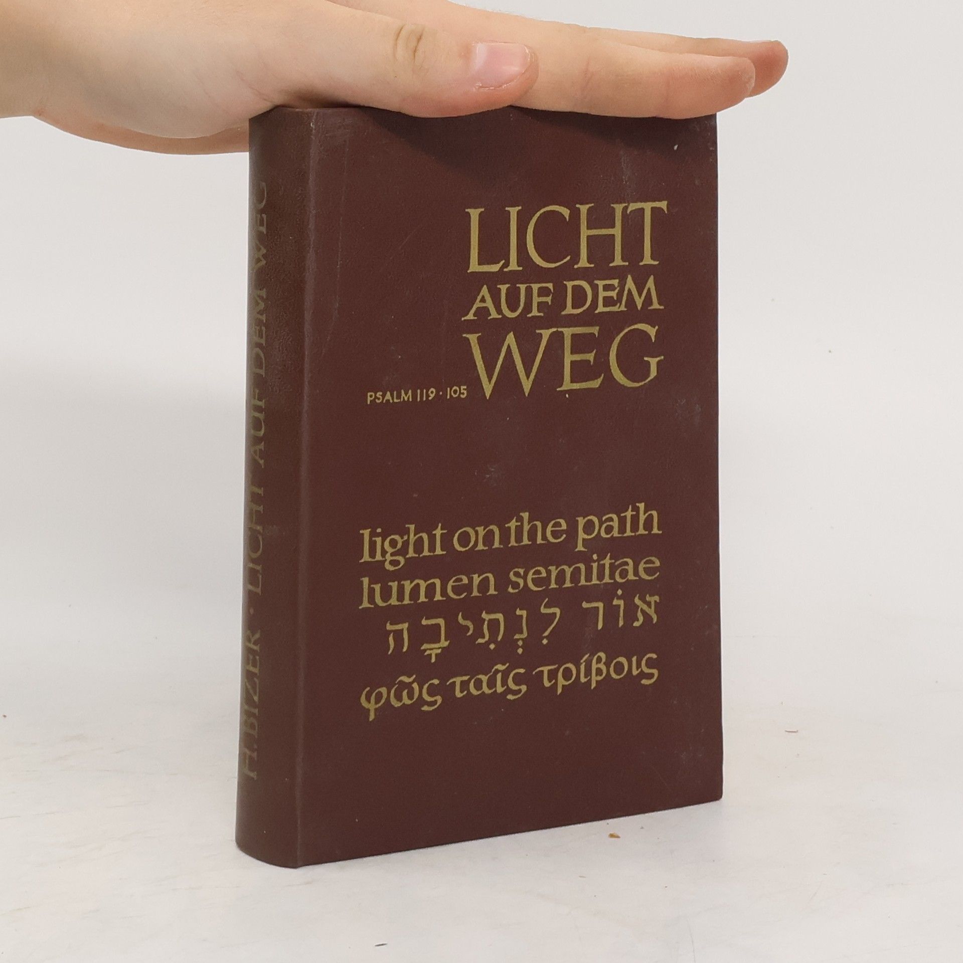Heinrich Bitzer Licht auf dem Weg