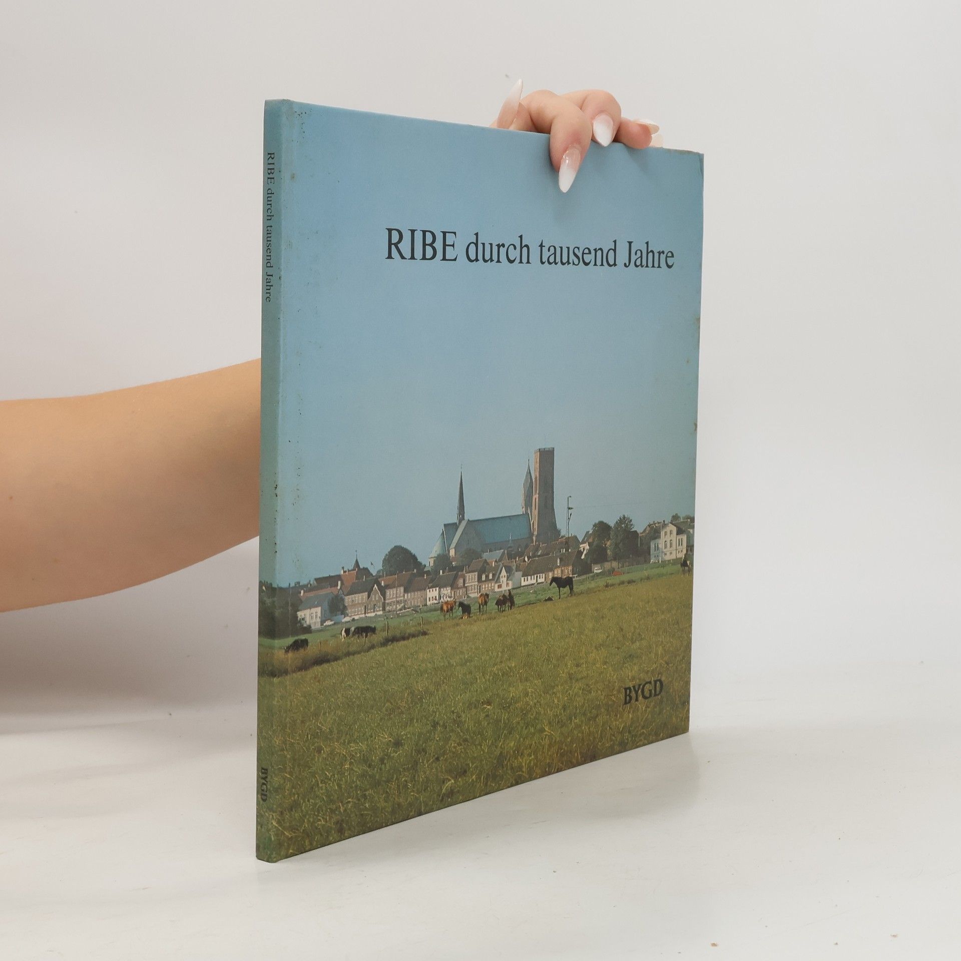 Mogens Bencard Ribe durch tausend Jahre