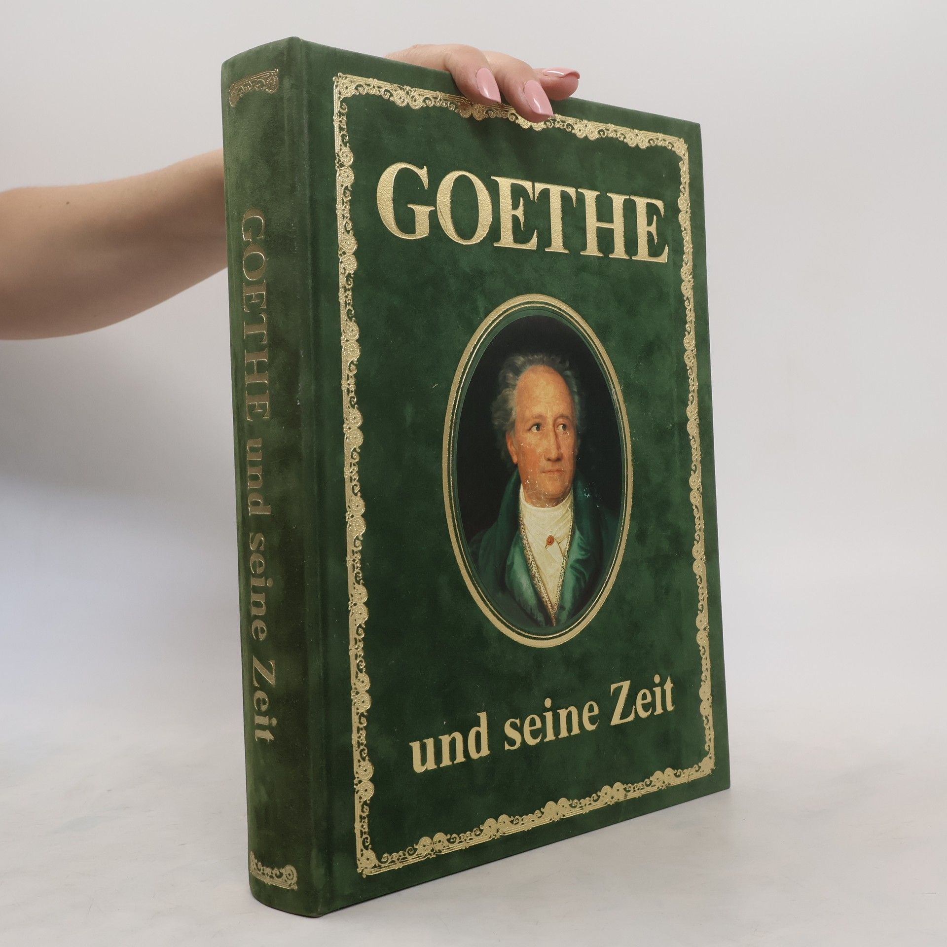 Kolektiv autorů Goethe und seine Zeit