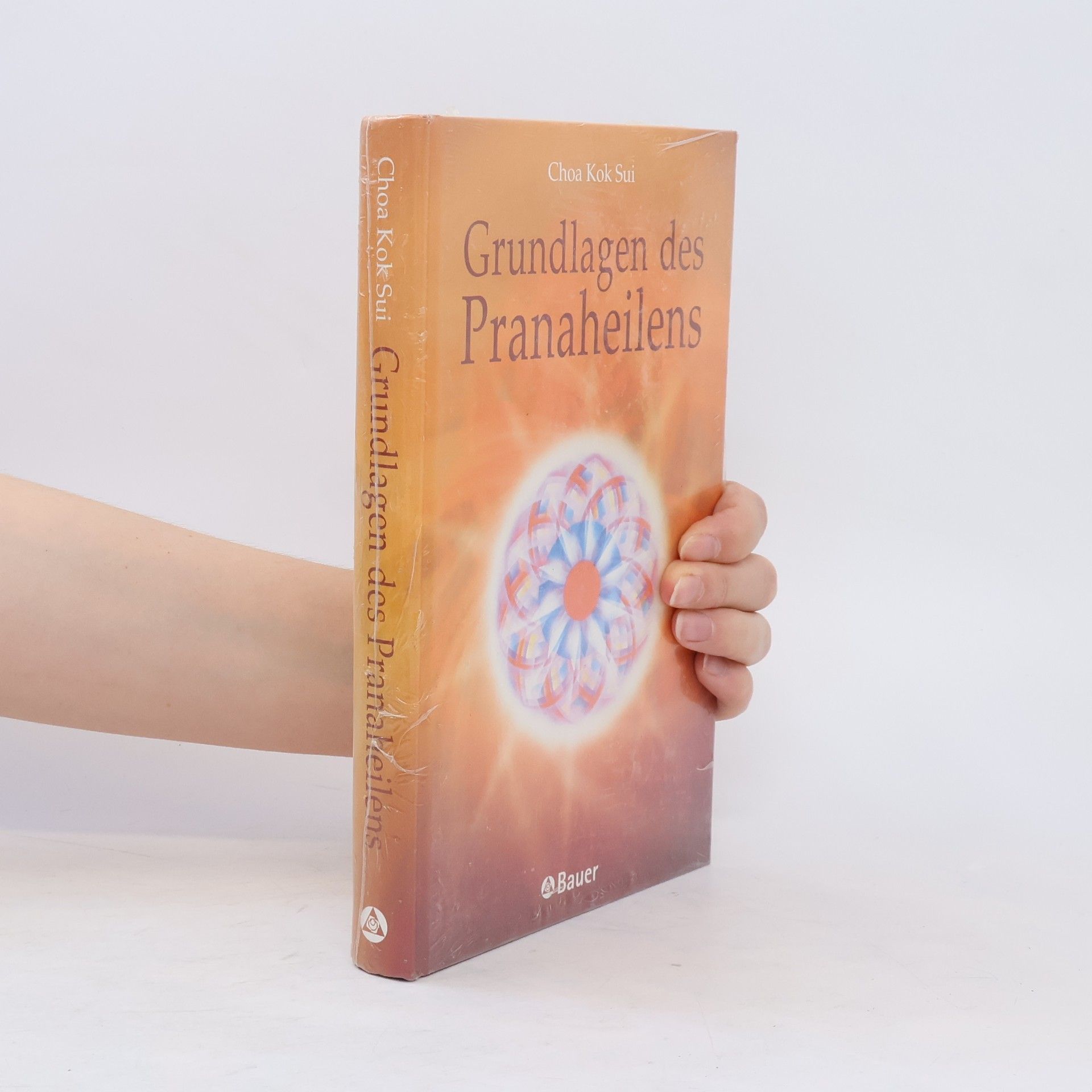 Choa Kok Sui Grundlagen des Pranaheilens
